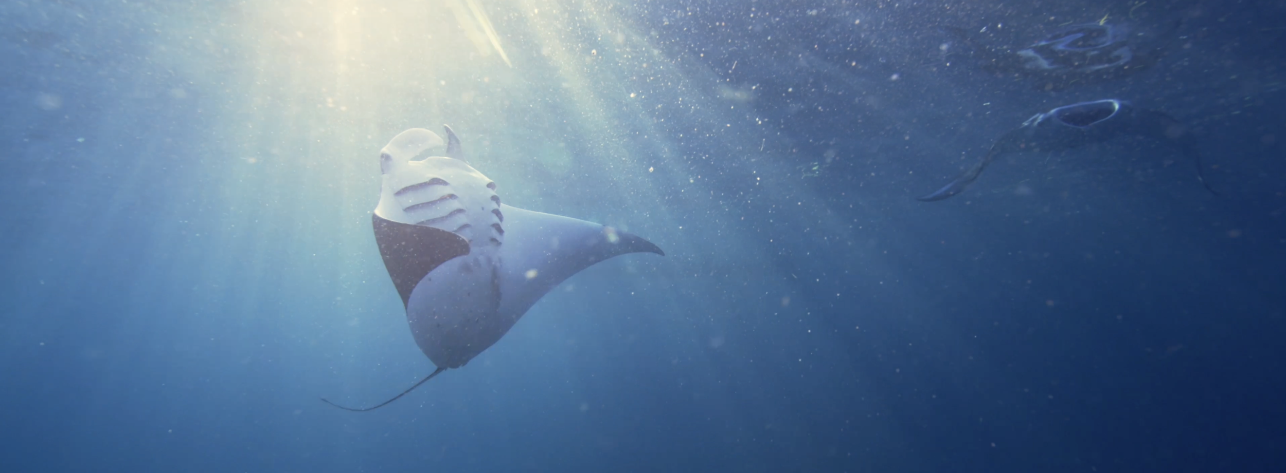 Capture d’écran 2026-03-28 à 13.47.26.png