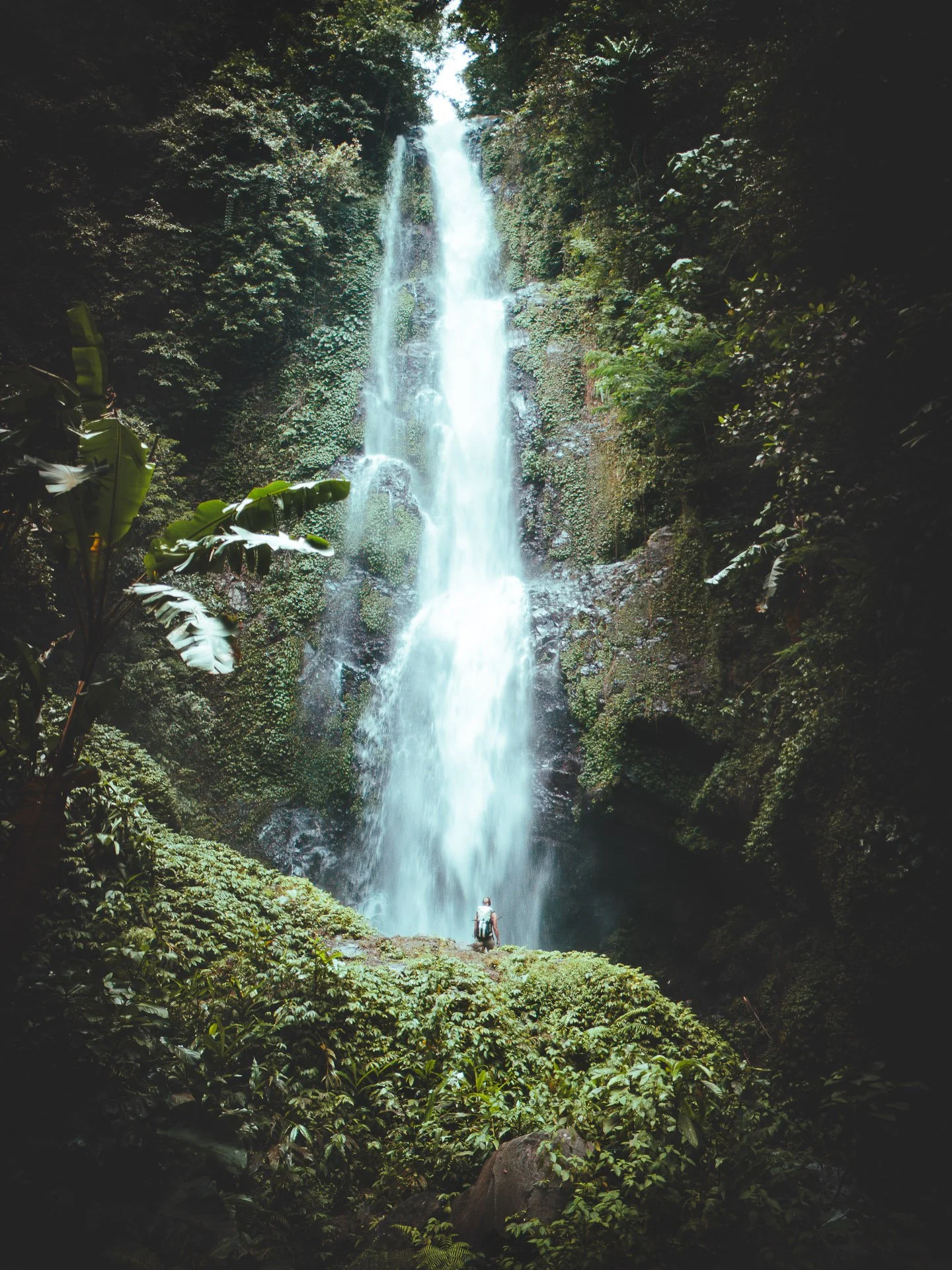 Anaïs Into the jungle 1