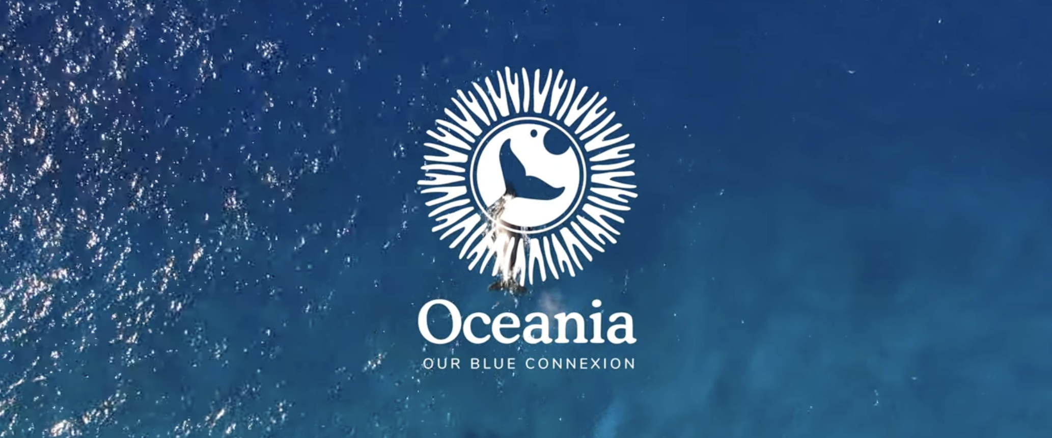 Capture d’écran 2026-03-28 à 19.52.28.png