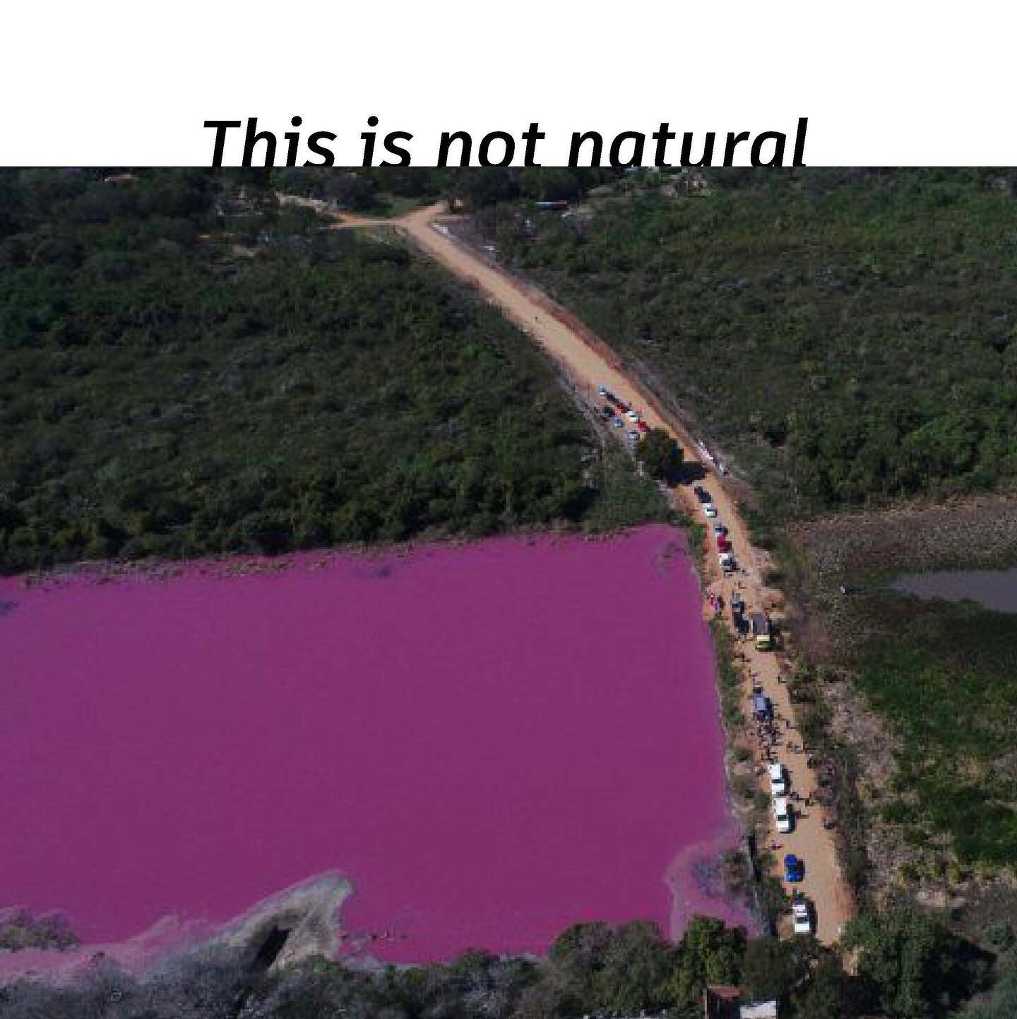 This is the Cerro Lagoon in Paraguay after being polluted by a close-by leather tannery factory. The water at the right is pink due to the heavy chromium content caused by tanning. This pollution had an environmental, cultural and social impact as th