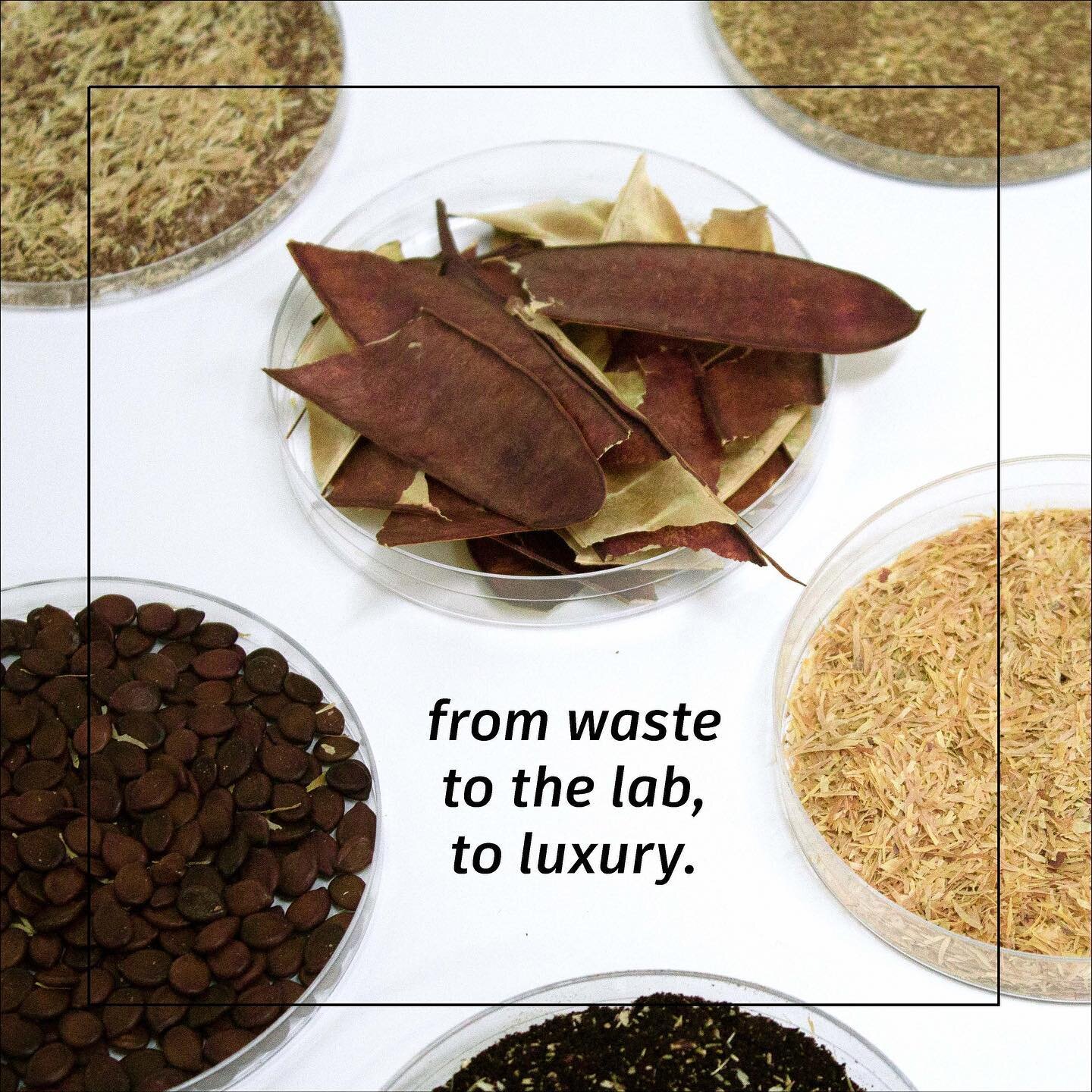 From waste, (to the lab), to luxury. Leukeather uses discarded Leucaena pods to create an ethical and sustainable vegan biotextile. 

#materialinnovation #ethicalfashion #veganleather