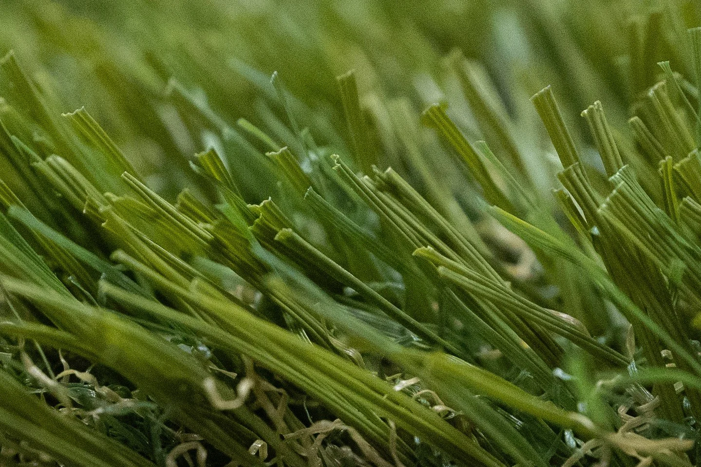 Think artificial turf isn't making waves in hardscape projects? Think again. Discover how turf can power new projects, boost your profit, and elevate your designs.

Ready to learn from the industry leaders at Alliance?�⚡ Visit http://Gato-Studio.com 