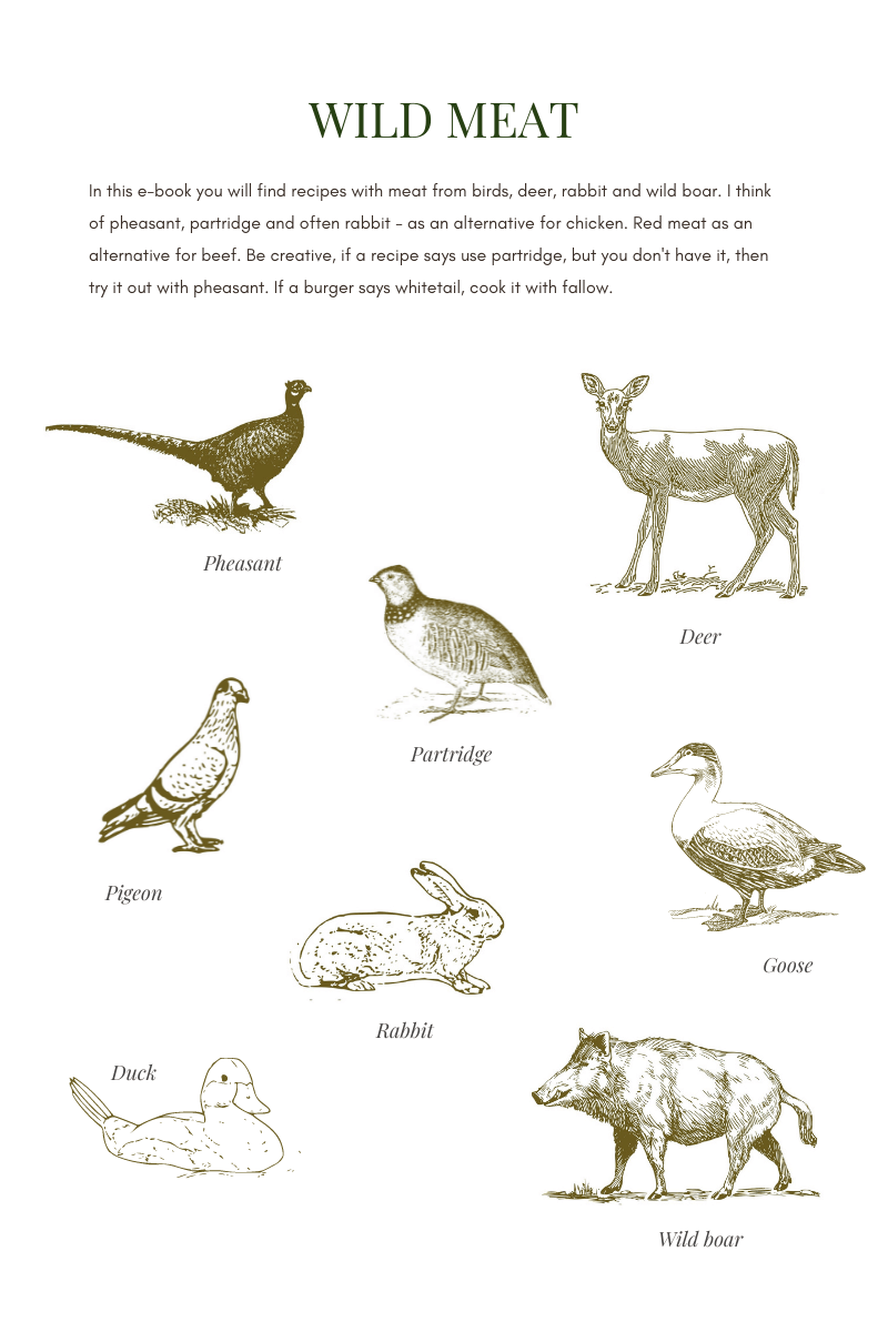 Jaegerinden-Mette-Karin-Petersen-Wild-Weekdays-Cookbook-Wild-meat.png