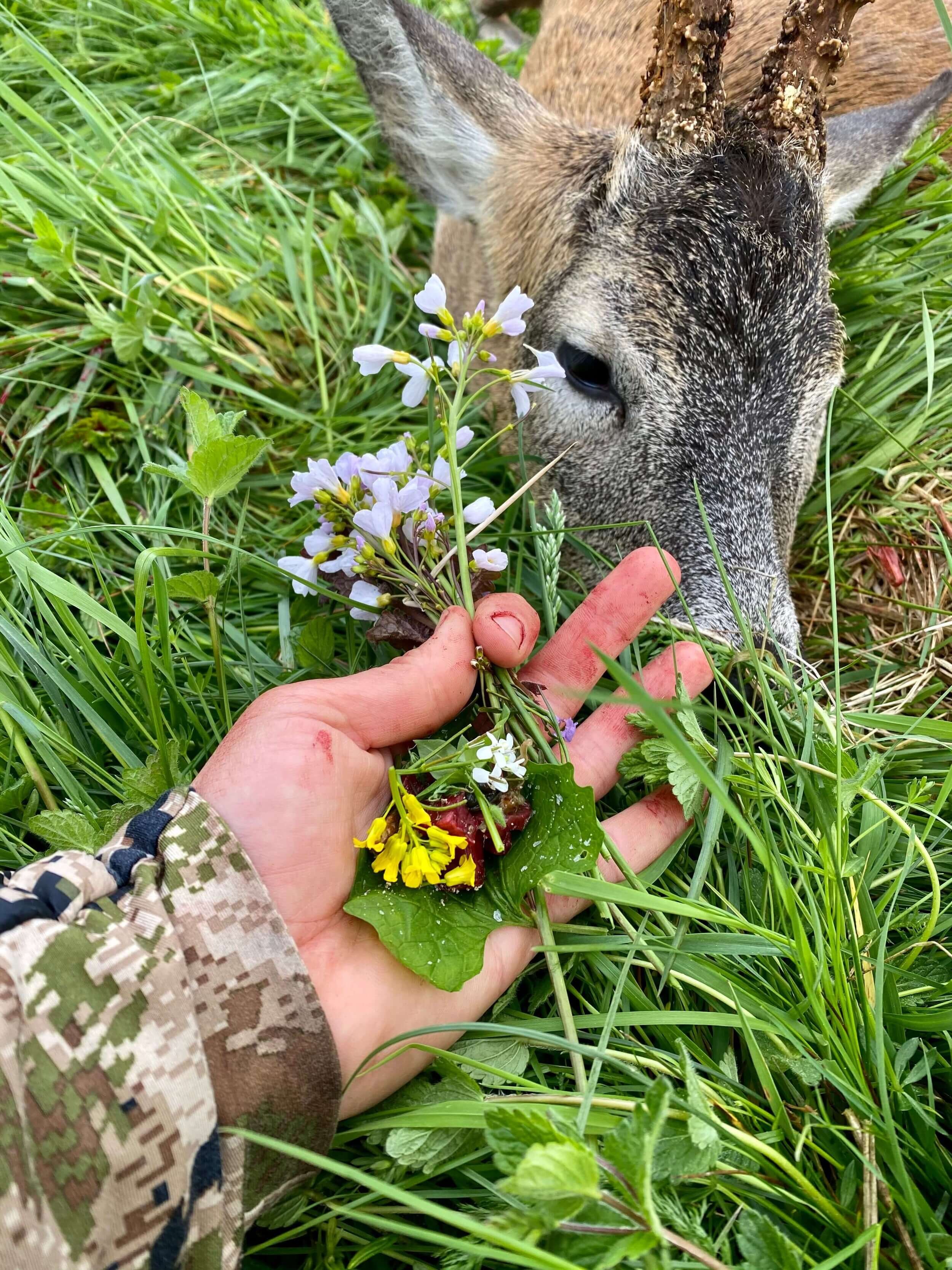 Roe buck heart tartare with wild flowers