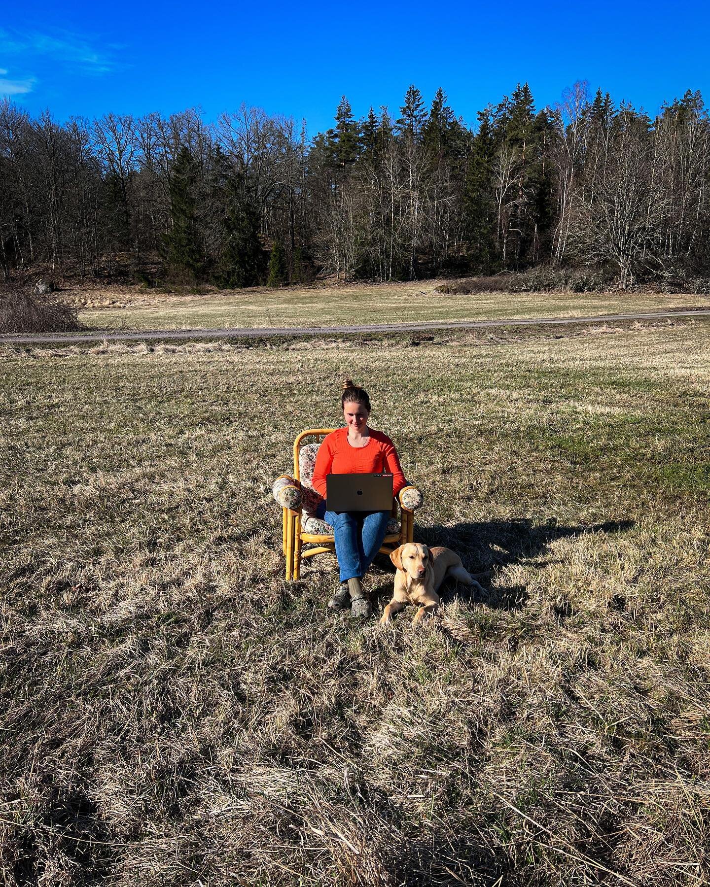 Working without wifi these days... #sweden #iloveyou 

#summerhouse #work #fun #sweden #travel #selfemployed #marketing #contentcreation #labrador #yellowlab #huntingdog #jaegerinden