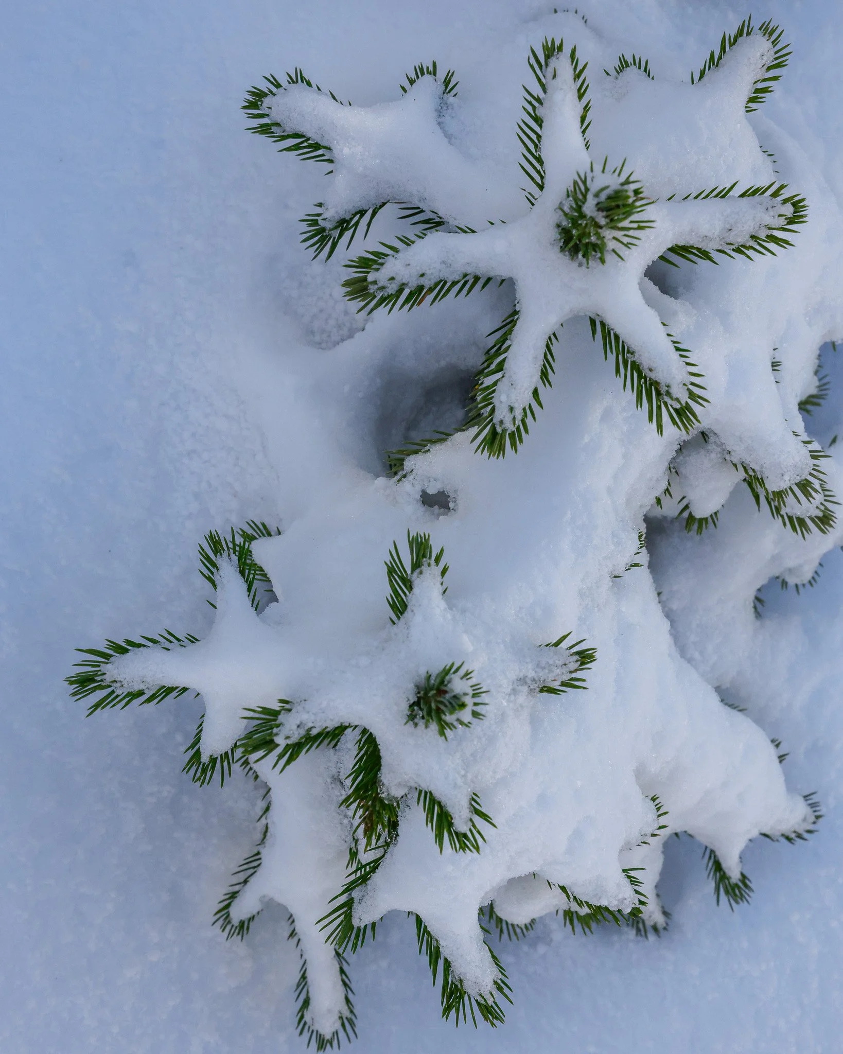 EJ-Snow-Brighton-10-12-2025-Small-1530.jpg