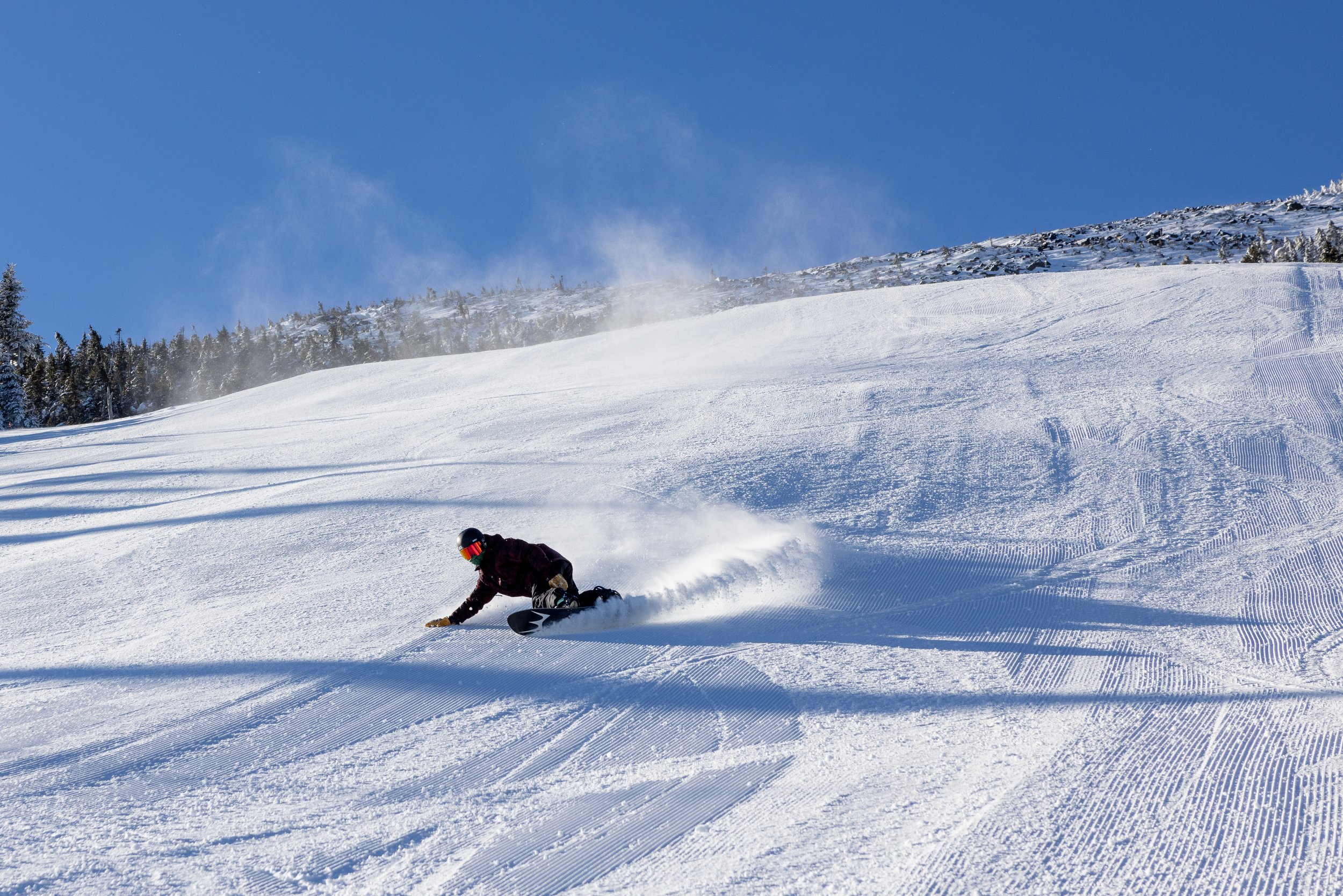 EJ_EMMA-Corduroy-Carve-Loaf-5634 (1).jpg