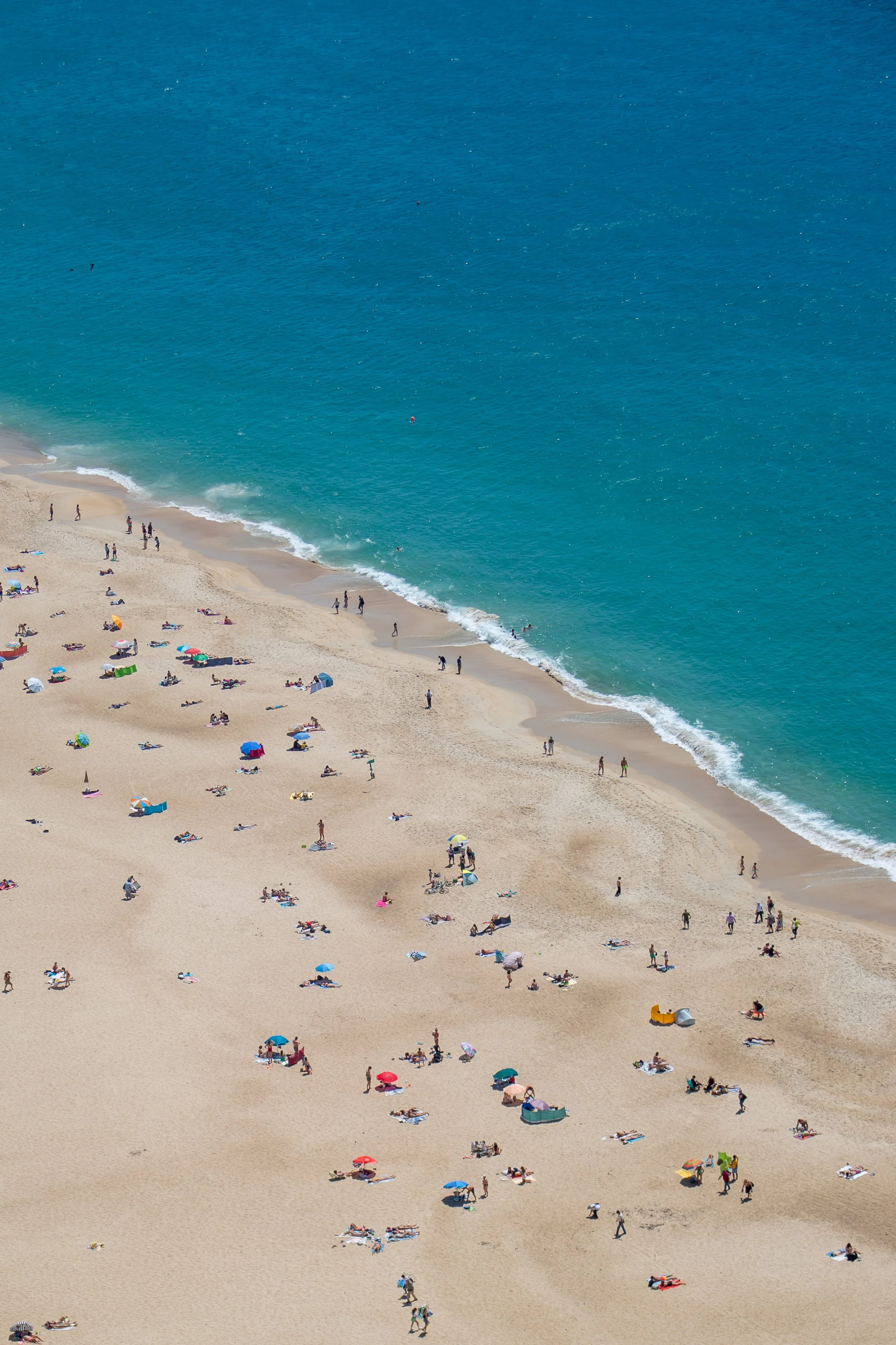 beach-7104.jpg