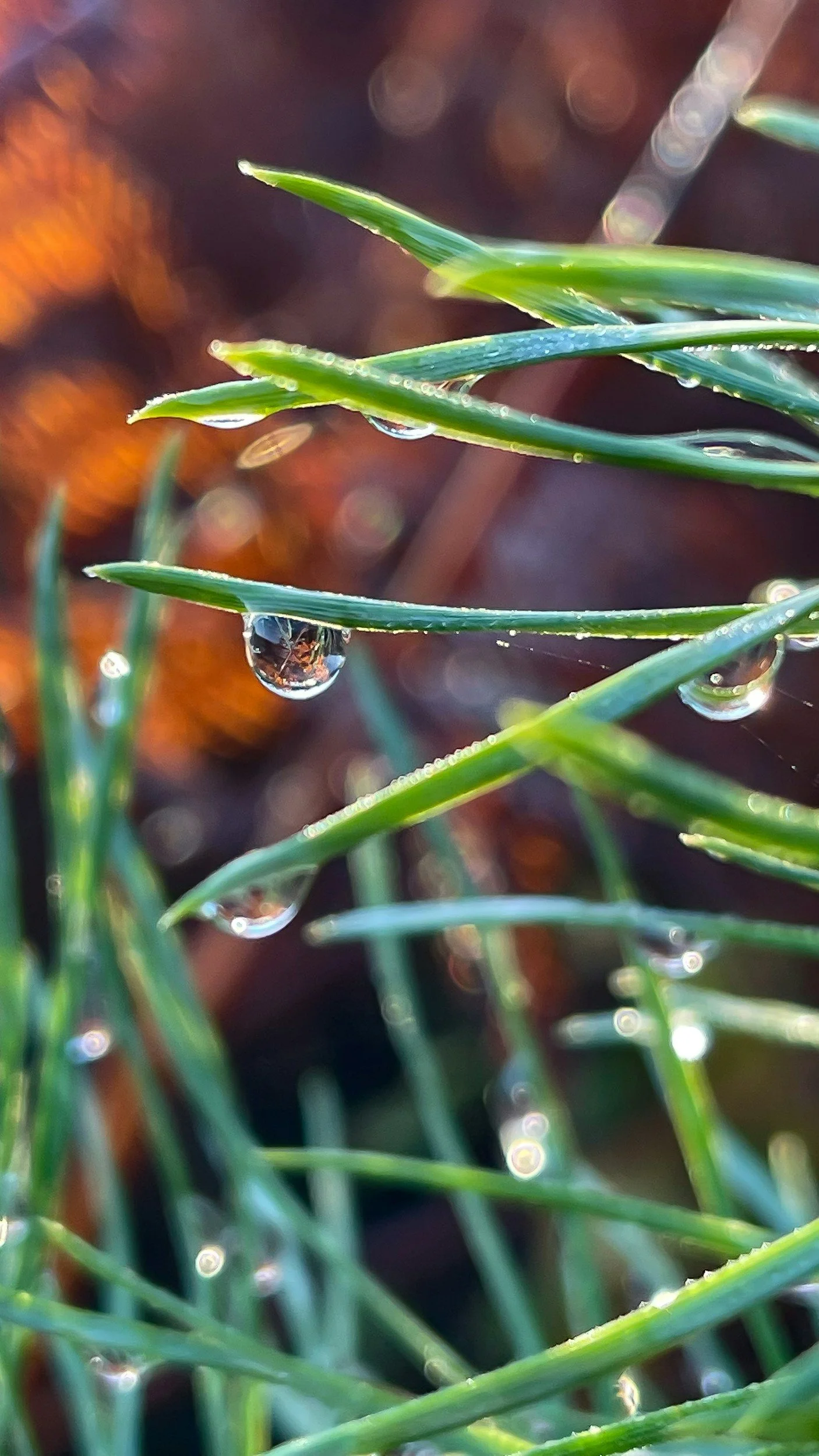 Healthy Skin Checklist