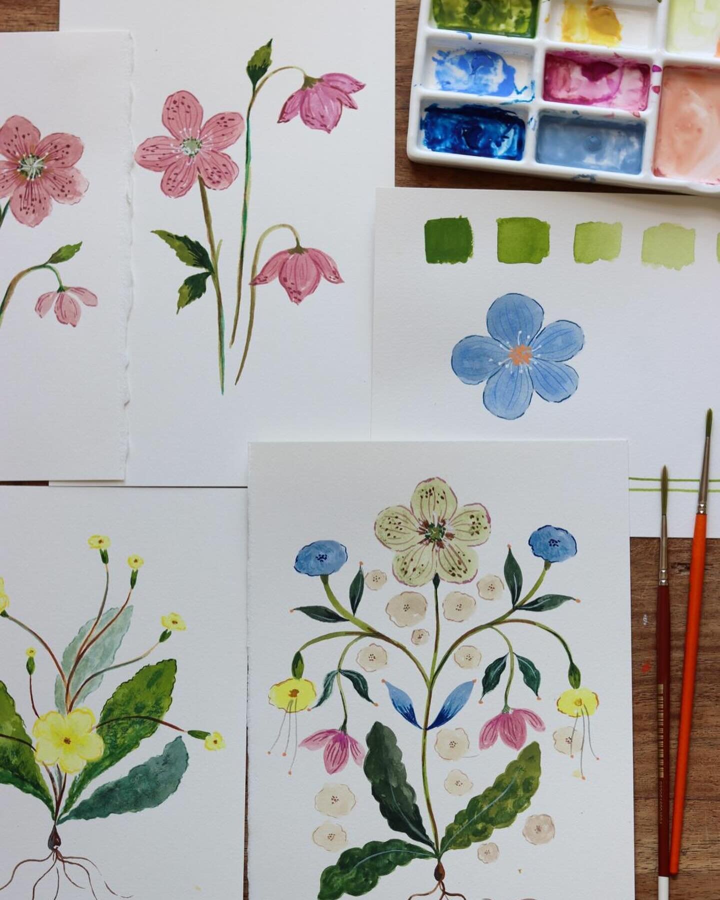 Thank you to everyone who joined us last night for &lsquo;gouache painting&rsquo; with @florawaycott.

We painted hellebores and primroses from the garden and Flora shared her beautifully considered and detailed process with us.  Thank you for being 