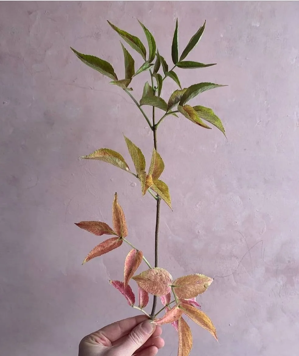 🧡 Subscription GIVEAWAY 🧡

Hello lovely STILL community. I&rsquo;m so happy that there are now 10,000 of you gorgeous  people following STILL. It&rsquo;s a wonderful thing knowing you are all on this creative journey with me. 

I want to thank you 