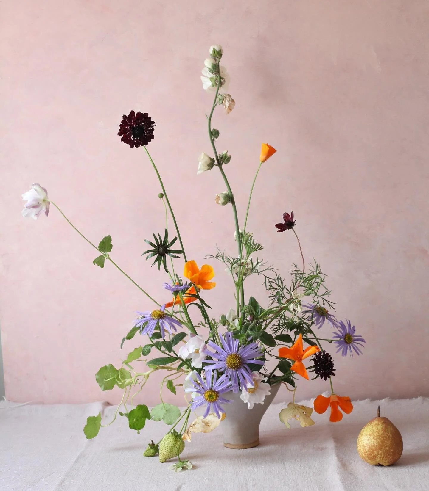 A November still life. 

There&rsquo;s not much left in the garden especially after the cold nights we&rsquo;ve had this week. But those that are still soldiering on are wonderfully bright and vibrant.