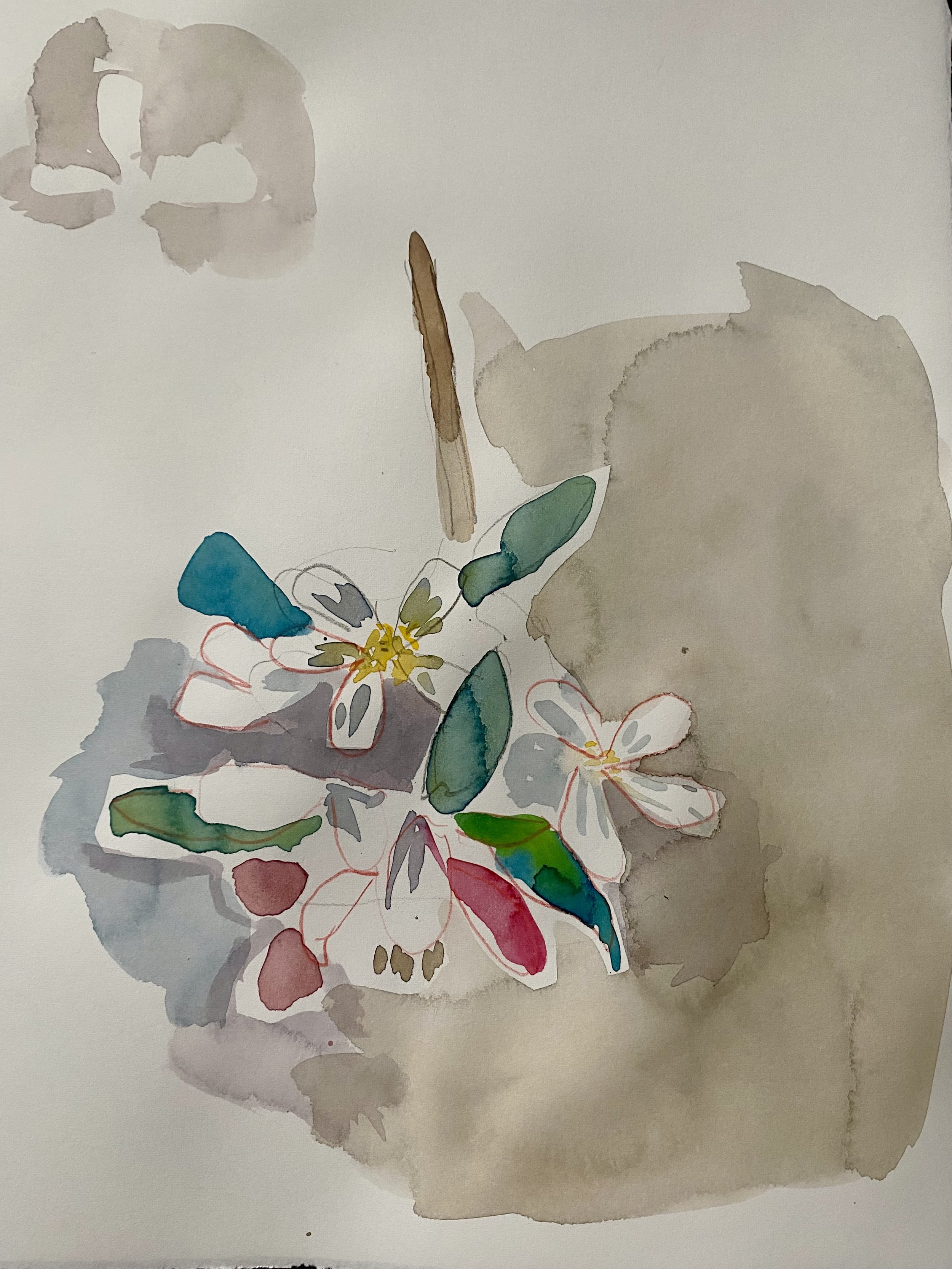 image4.jpeg