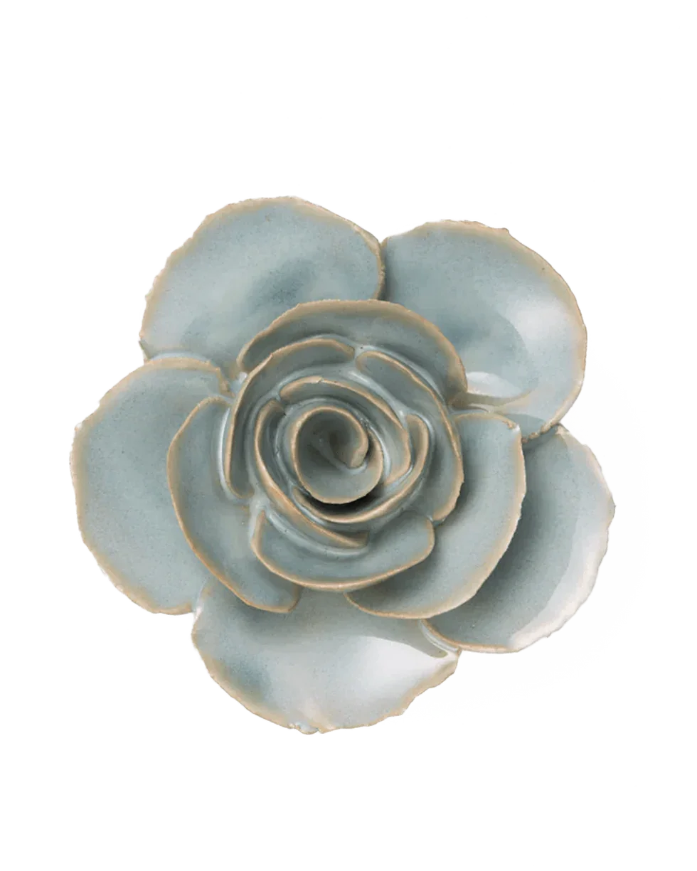 Milk Teal Elegance Ranunculus