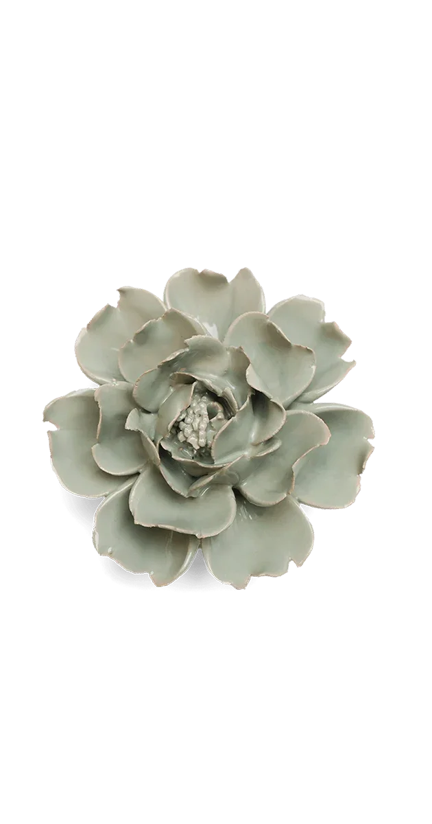 Pistachio Green Rose