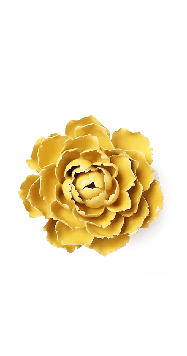 Buttercup Yellow Gay Paree Peony