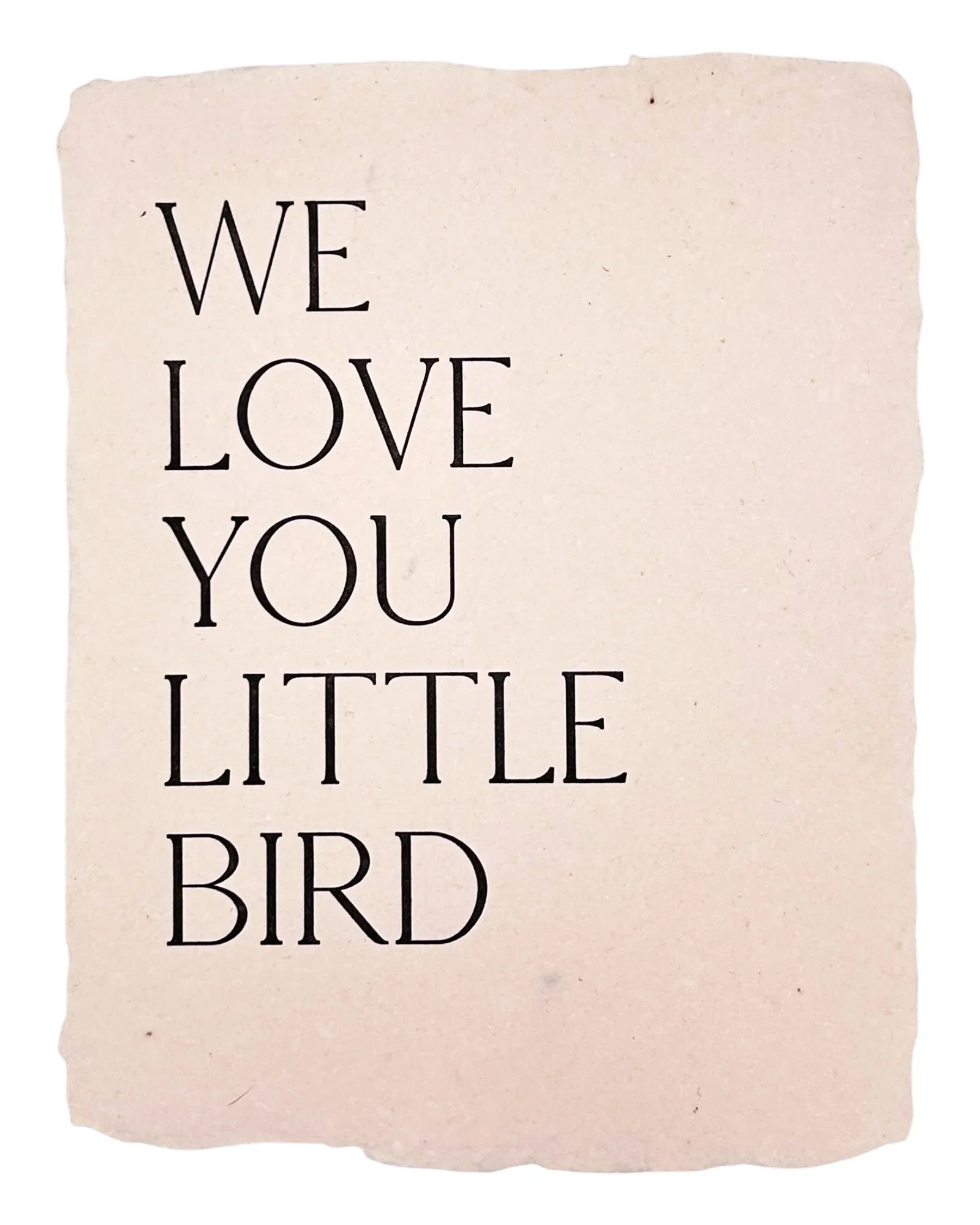 Little Bird Art Print