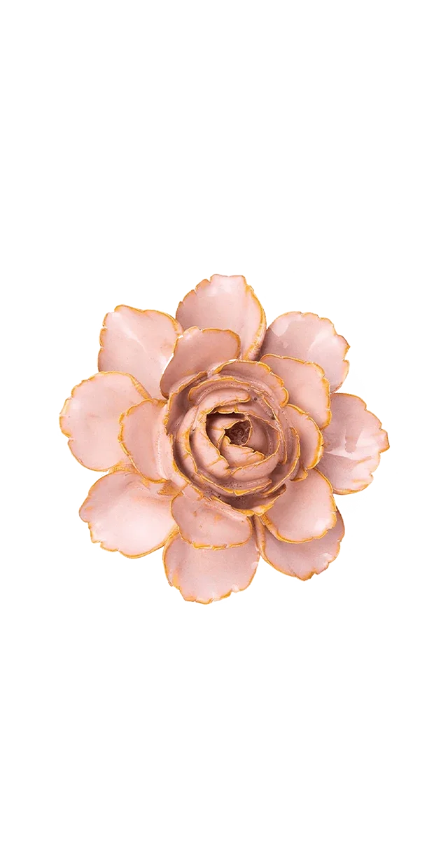 Rose Pink Camellia