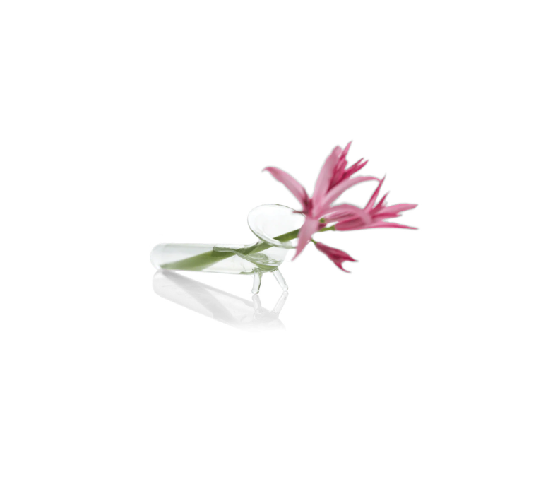 Test Tube Glass Bud Vase