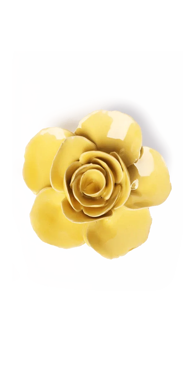 Buttercup Yellow Elegance Ranunculus