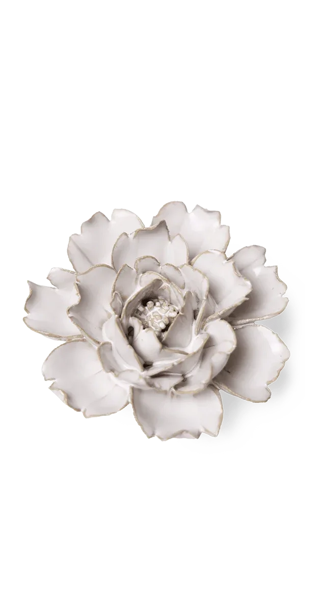 Ivory Rose