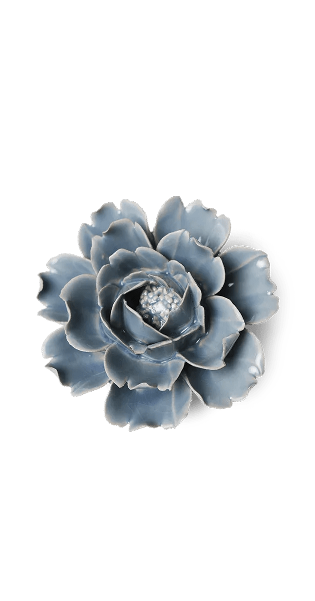 Pastel Blue Rose