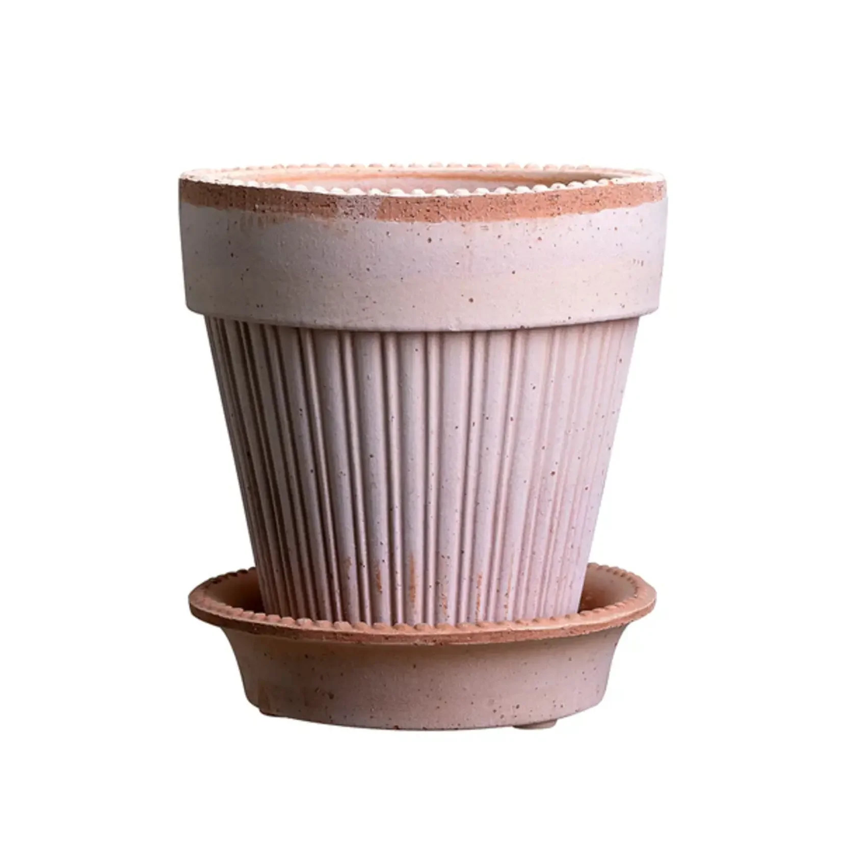 Simona Raw Roas Terracotta Pot