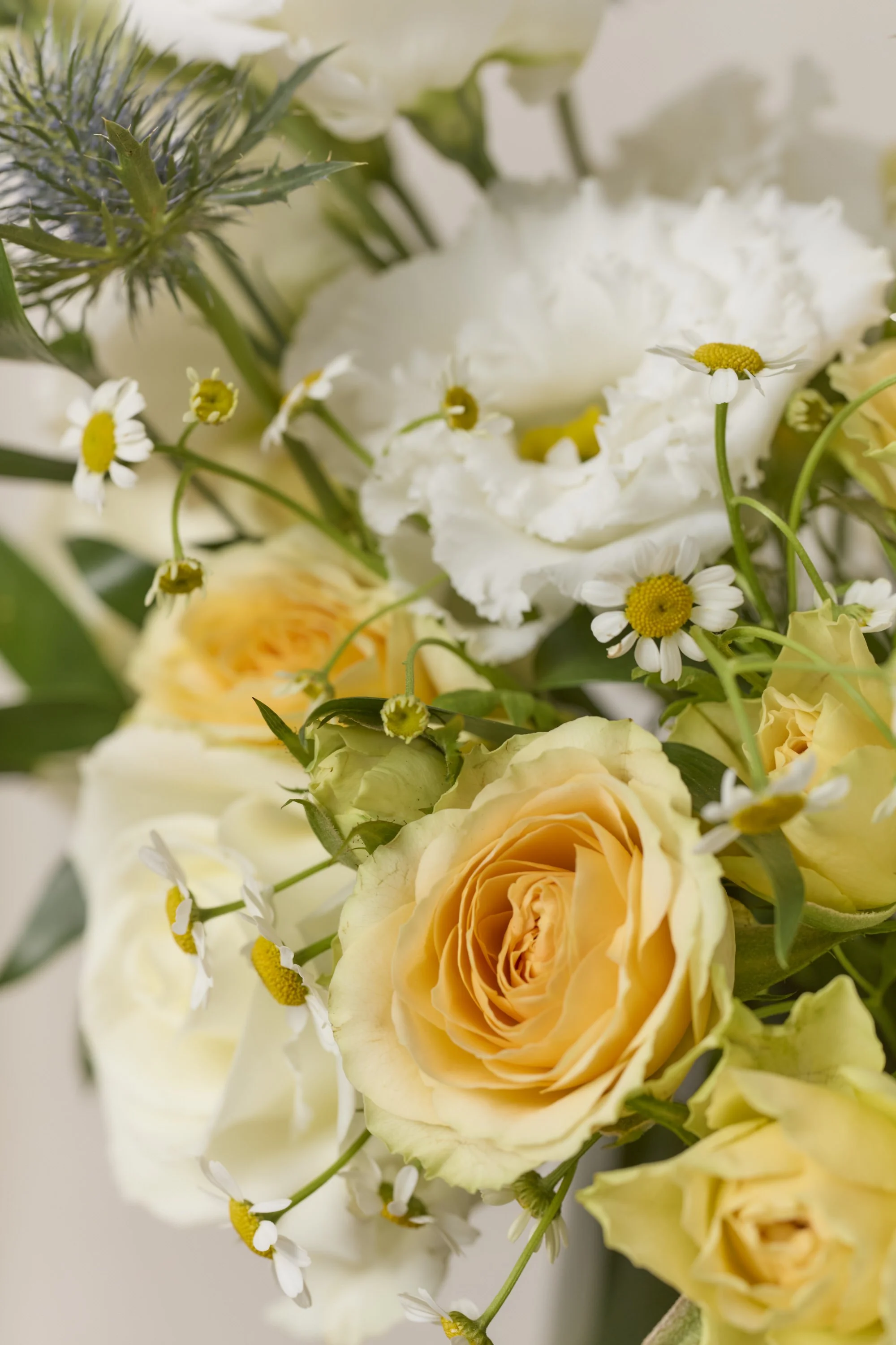 wilbir-flower-subscriptions-2.jpg