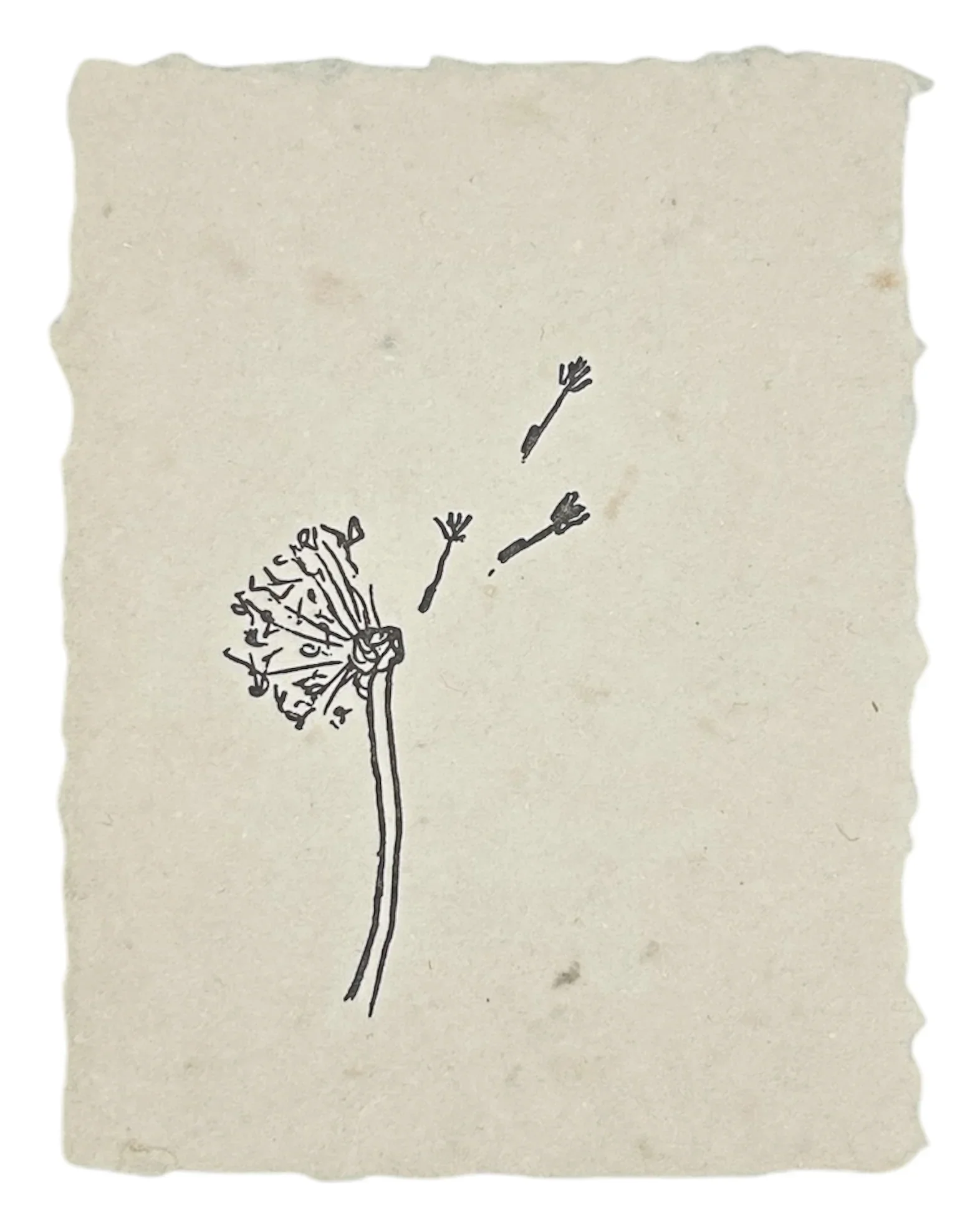Blowing Dandelion Art Print