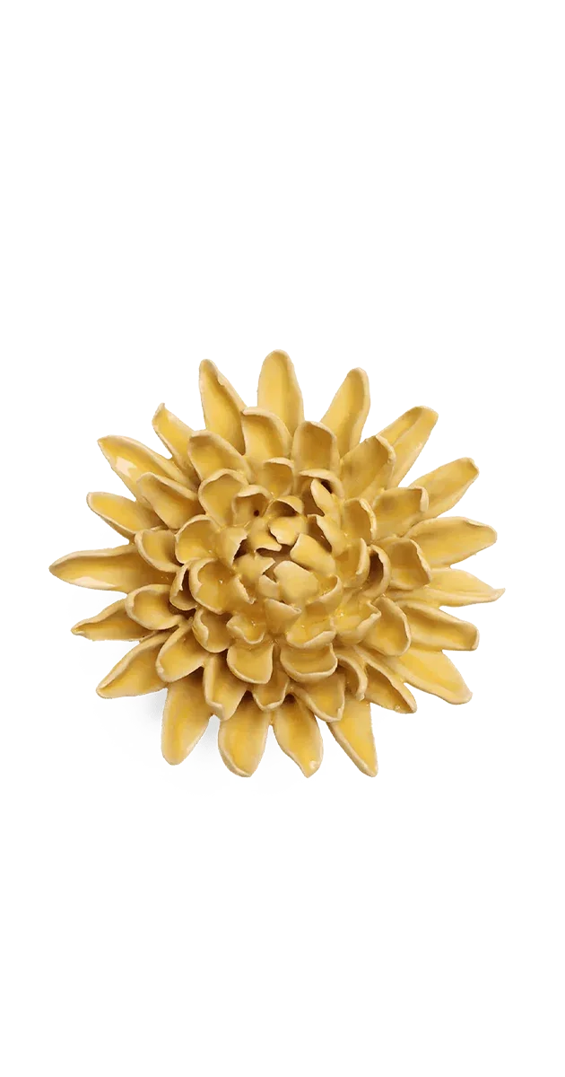 Buttercup Yellow Chrysanthemum