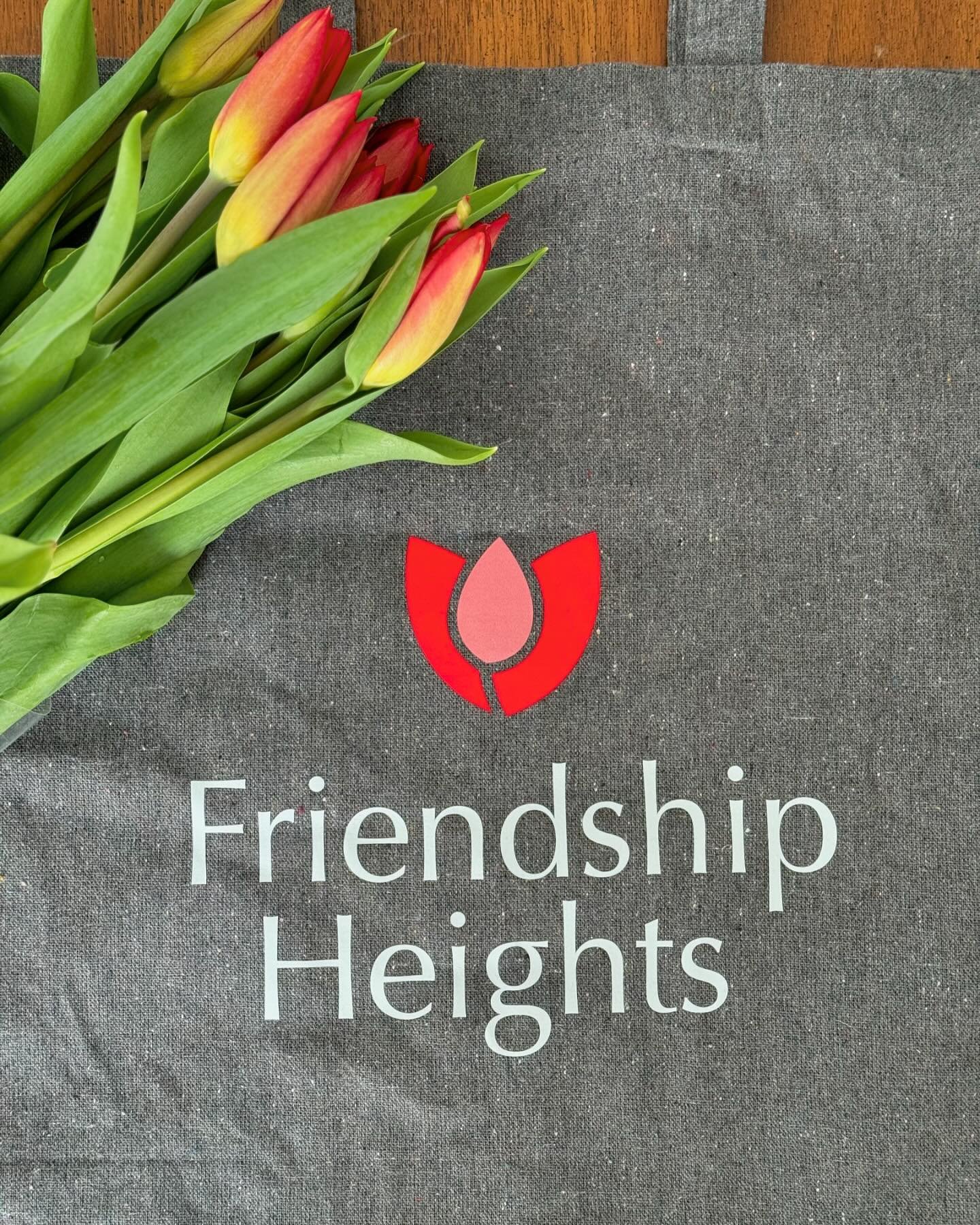 Sporting my @friendshipheightsalliance tote this morning to pick up some springtime cheer 🌷. The debut of this logo for the new Friendship Heights neighborhood alliance was inspired by the approachable happy tulip, known as a symbol of new beginning