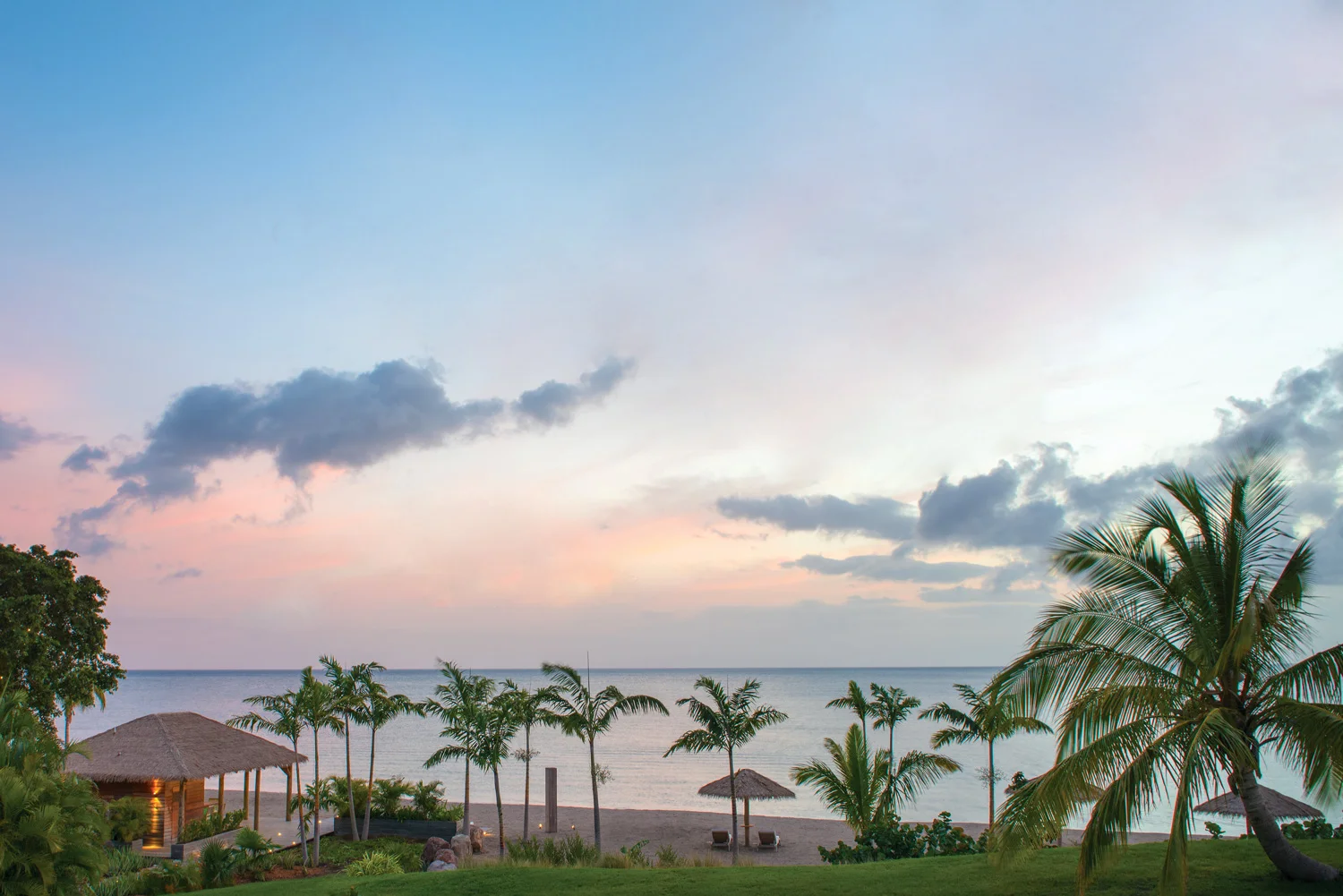 NEVIS