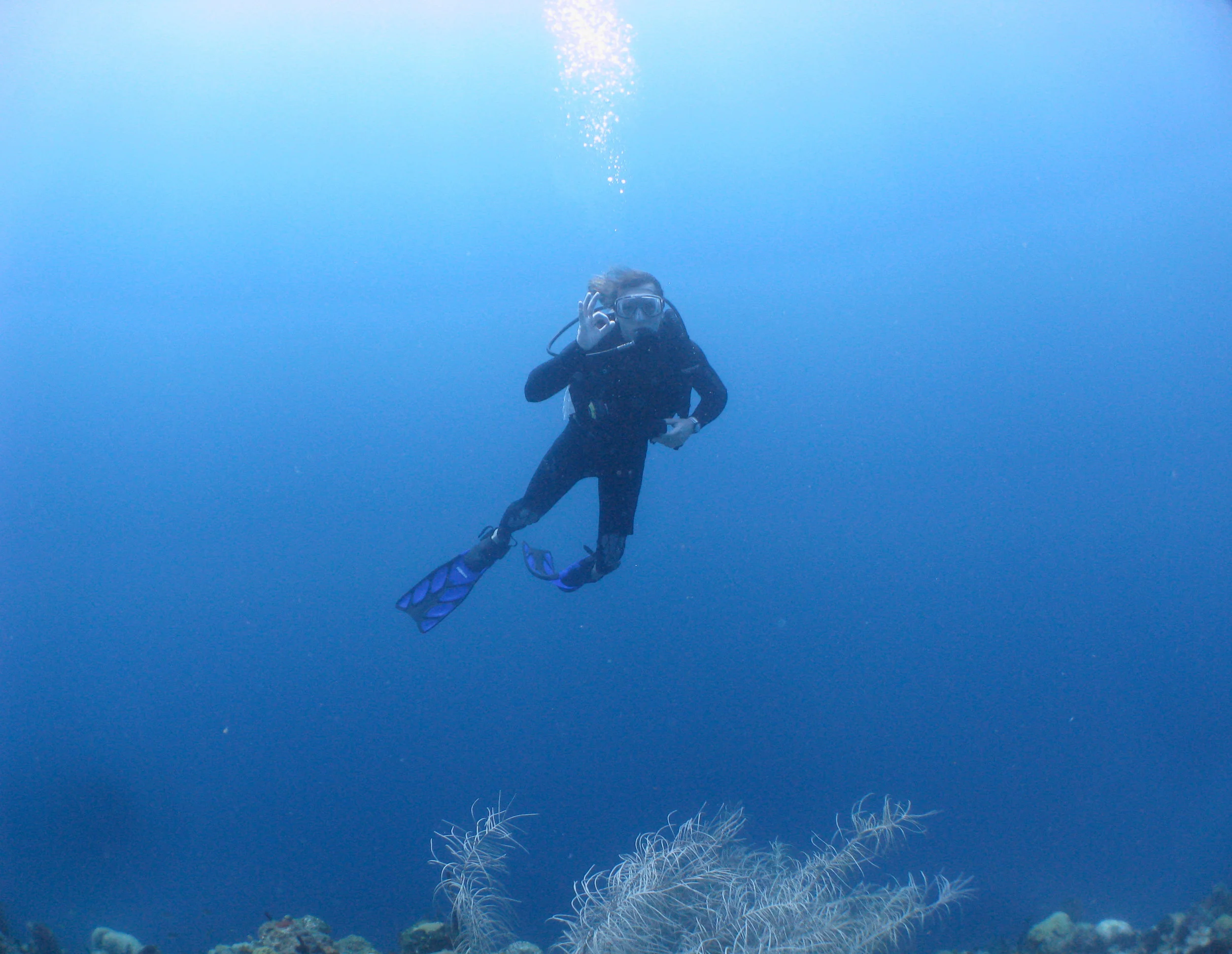 UNDER THE SEA 