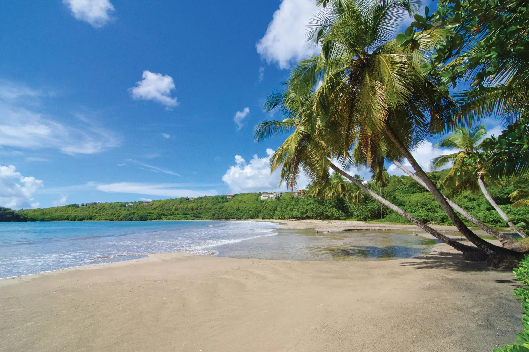 grenada8.jpg