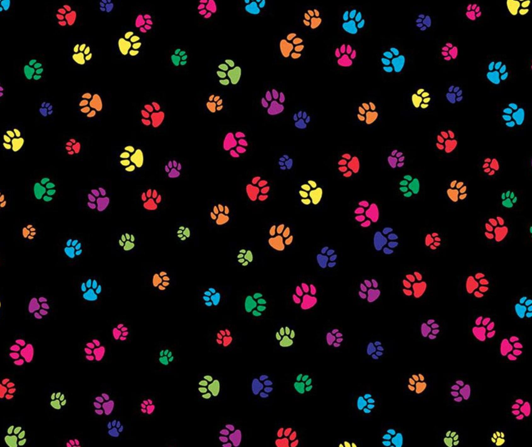 Rainbow Paws Sailor Bow