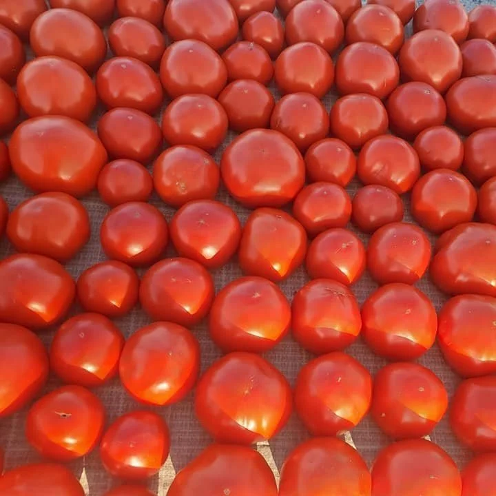 Vegetable Vendors — Greater Springfield Farmers Market