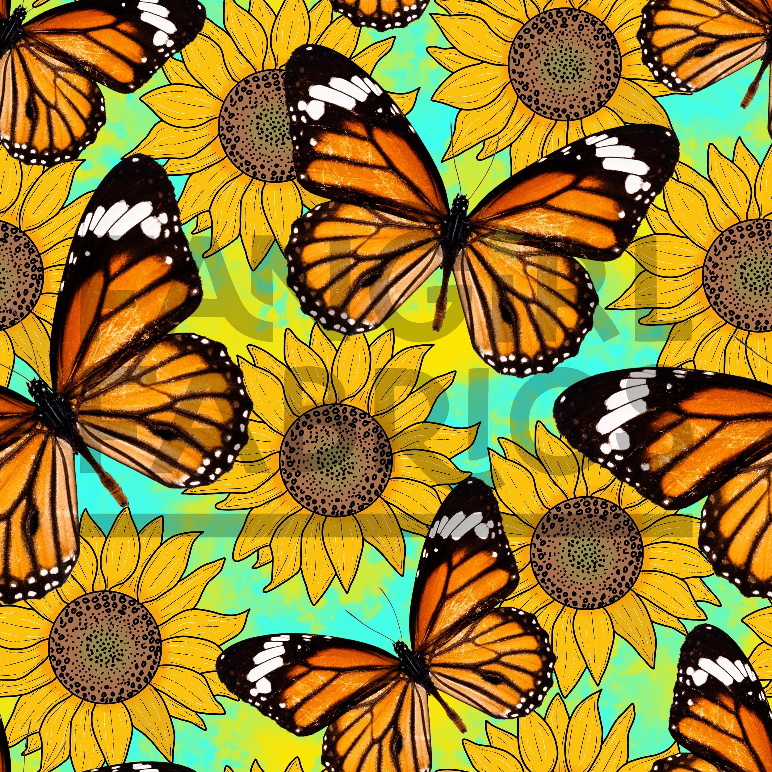 Sunflower butterfly 1 w.jpg