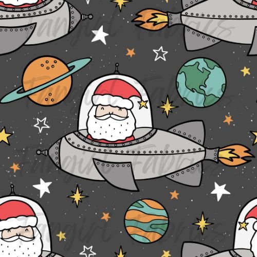 Space Santa Grey by Raspberry Pattern Co w.jpg