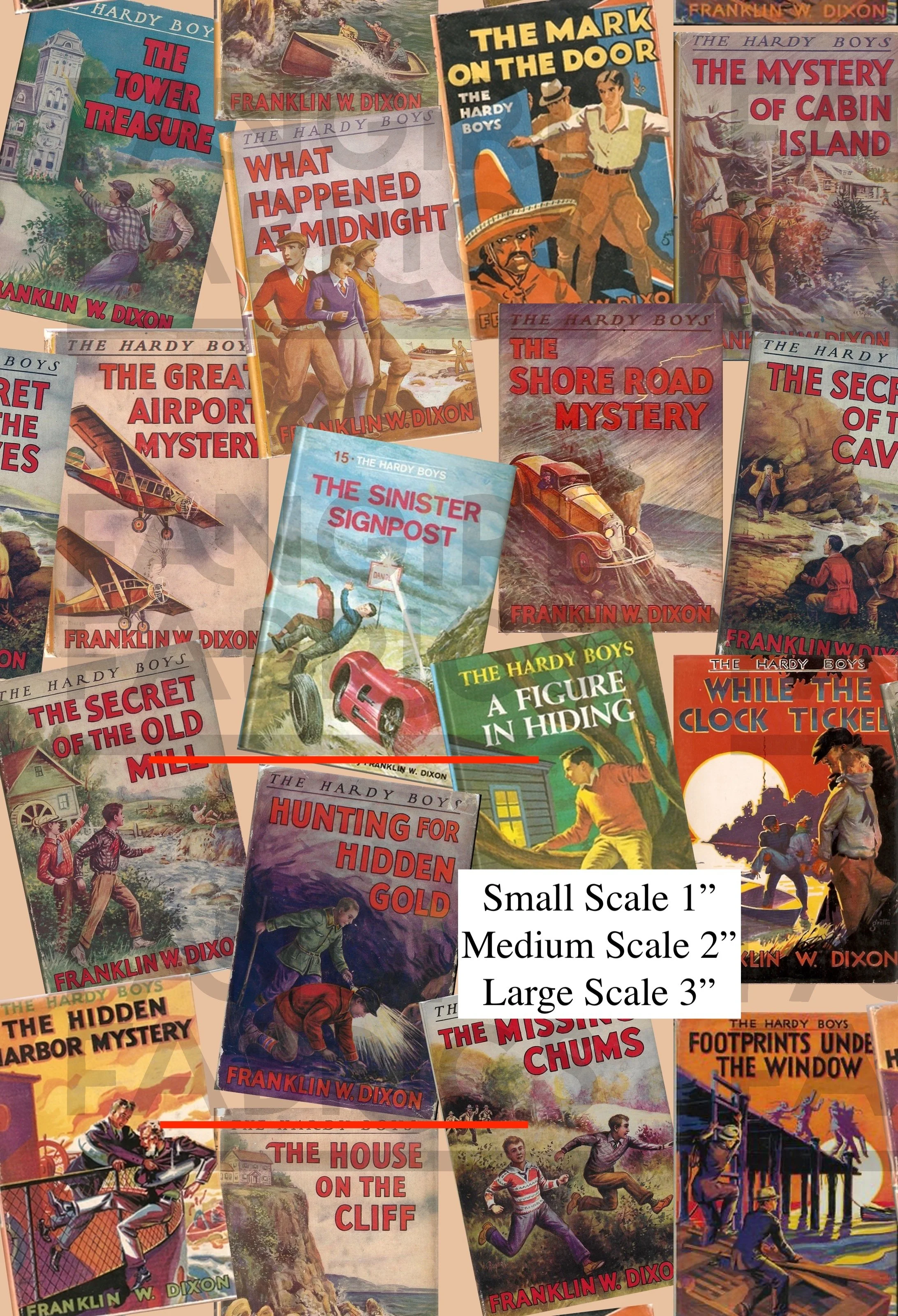 the hardy boys toss w copy.jpg