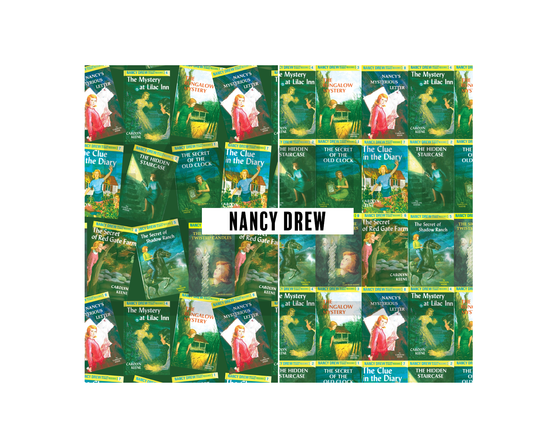 nancy drew cover.png
