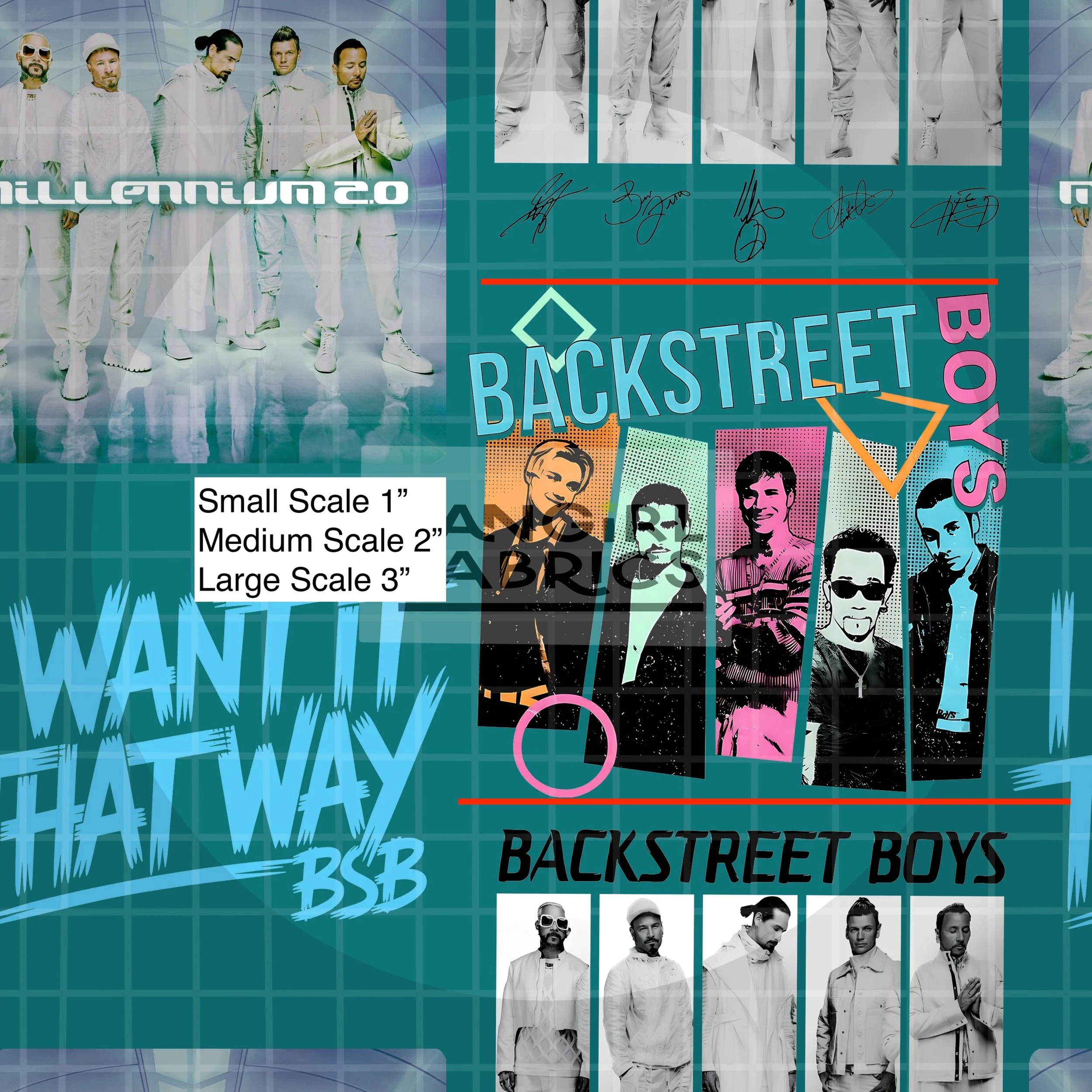 bsb teal copy.jpg