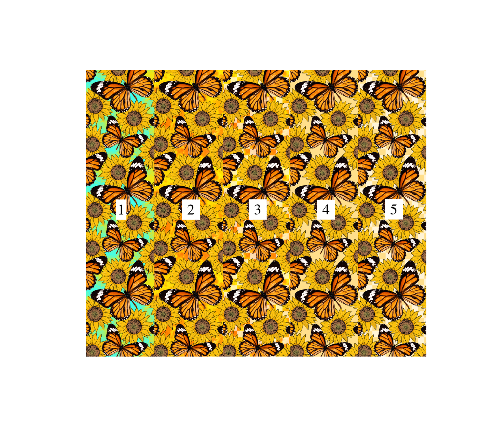 sunflower butterfly colours.png
