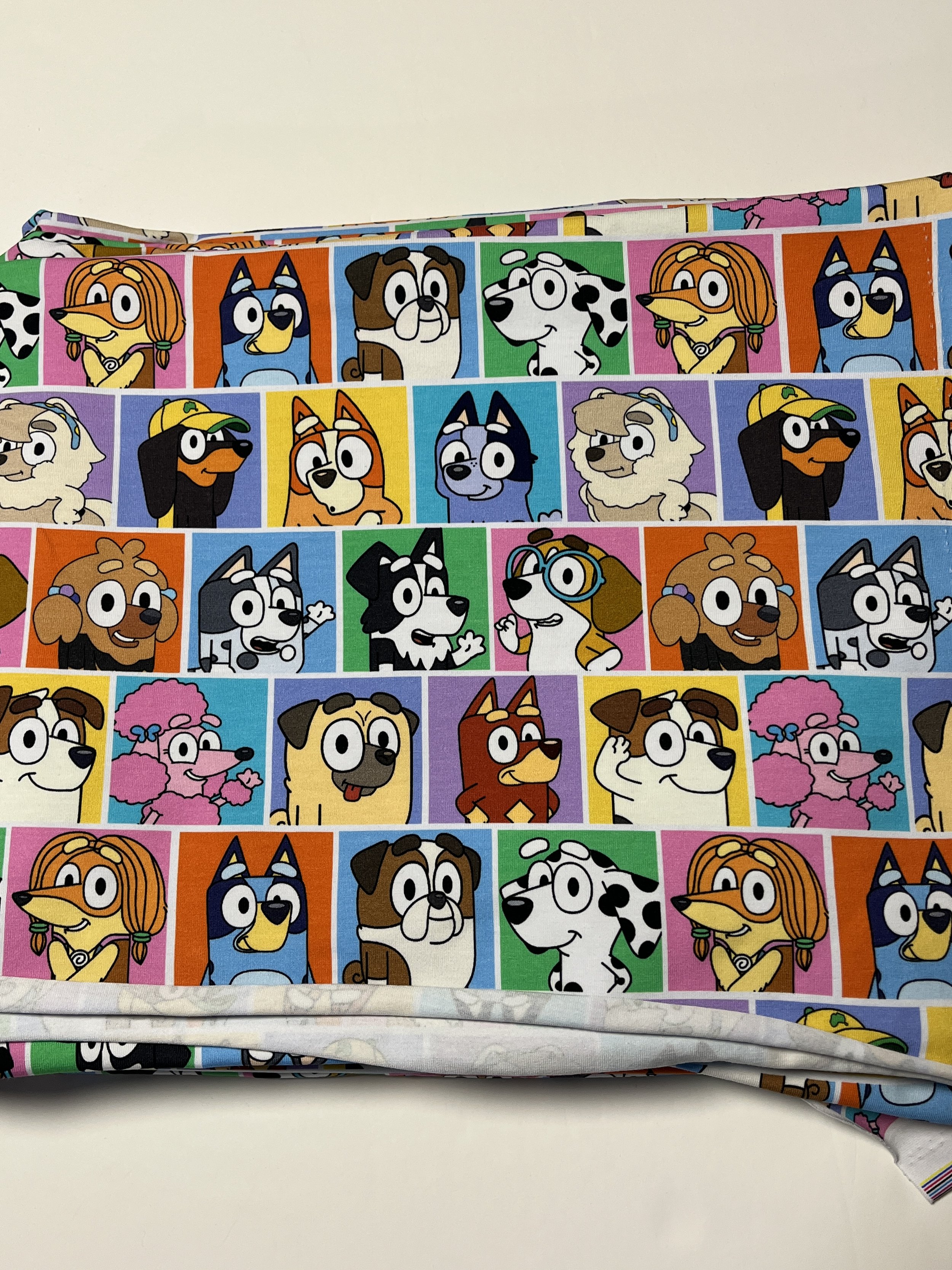 Bluey Friends MD Scale Cotton Spandex