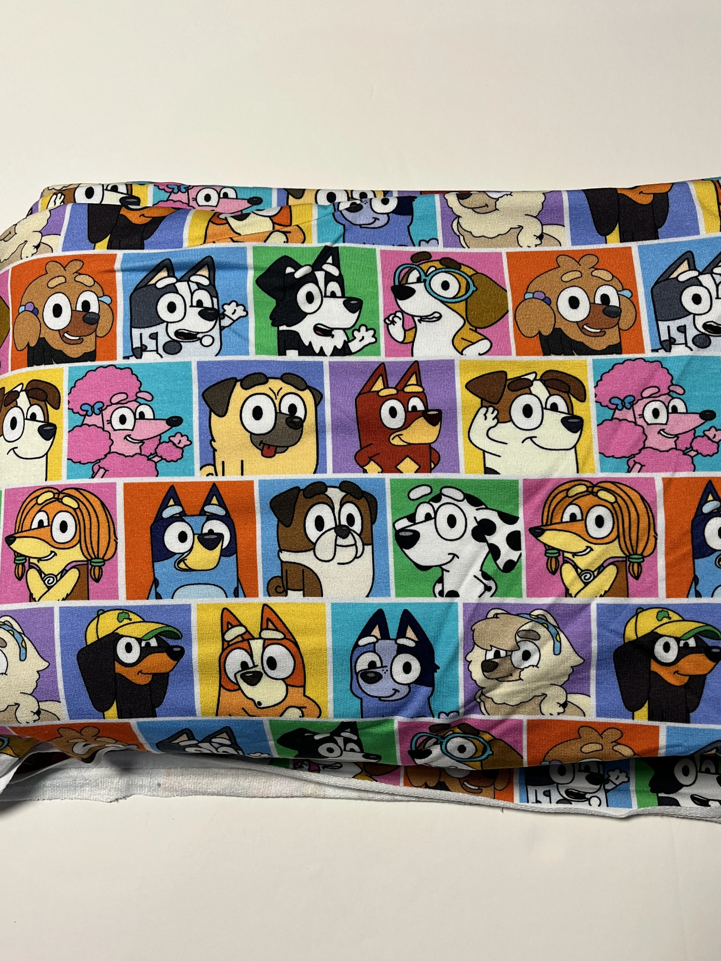 Bluey Friends MD Scale Bamboo French Terry