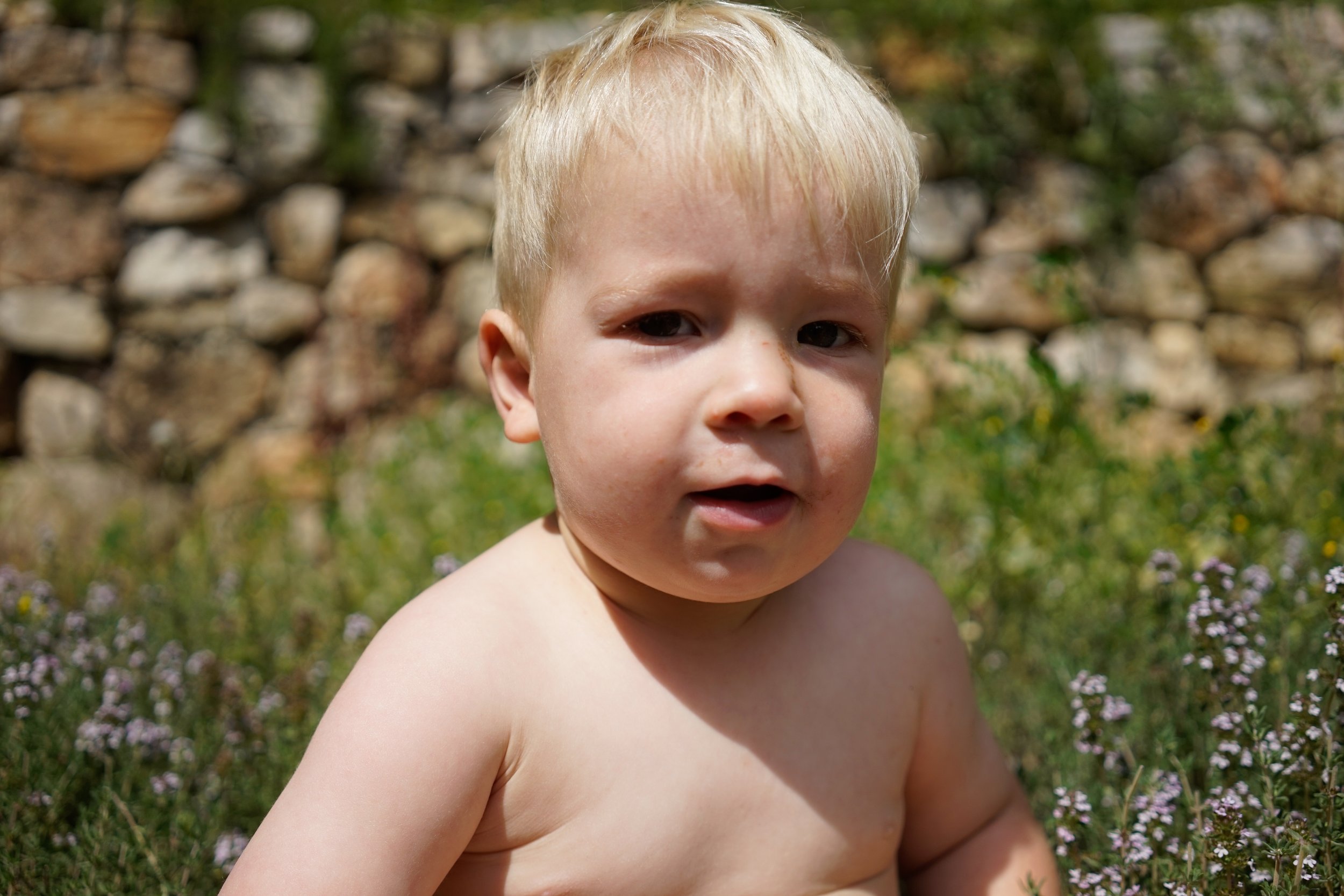 _DSC3585 3.19.00 PM.jpg