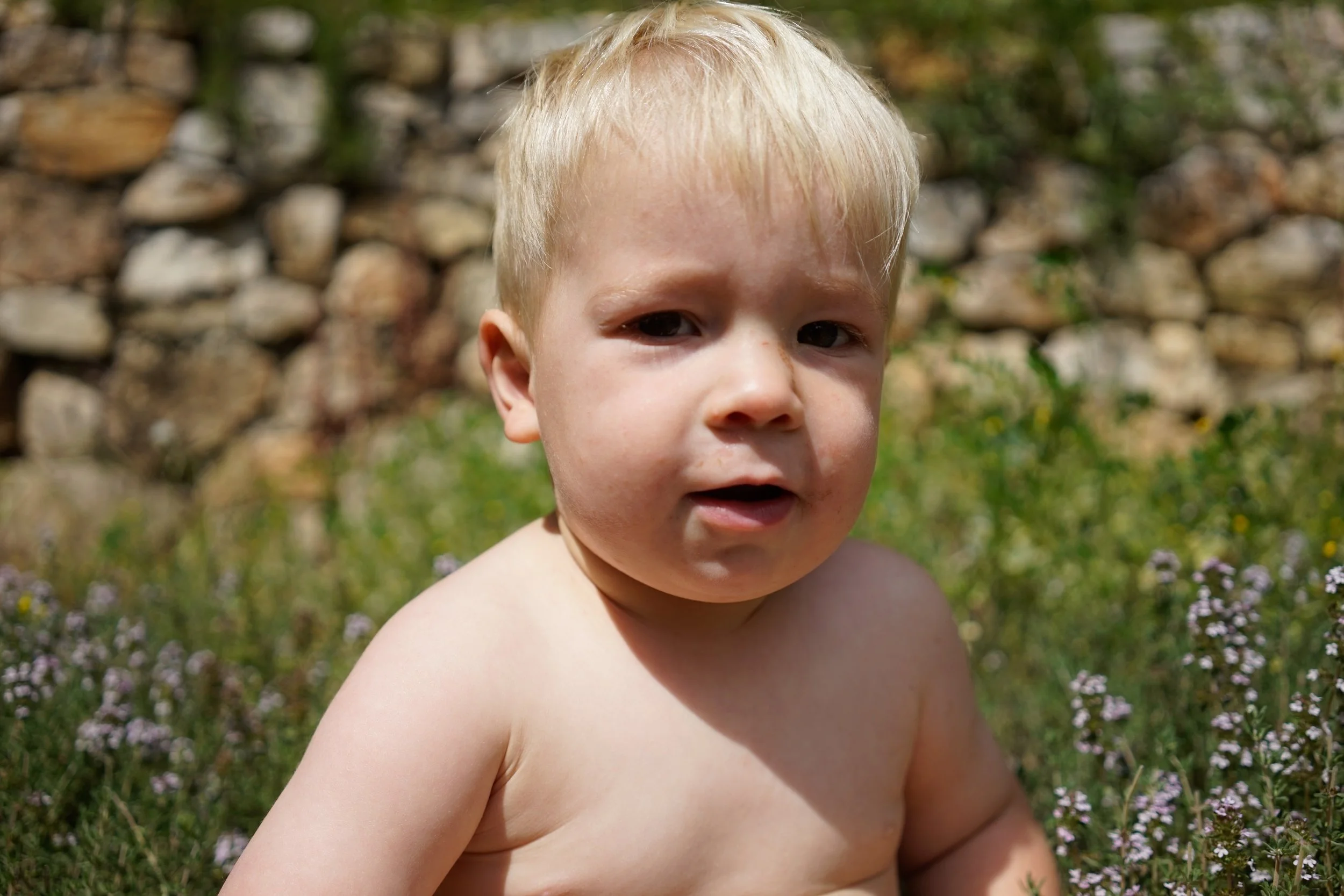 _DSC3585 3.19.00 PM.jpg