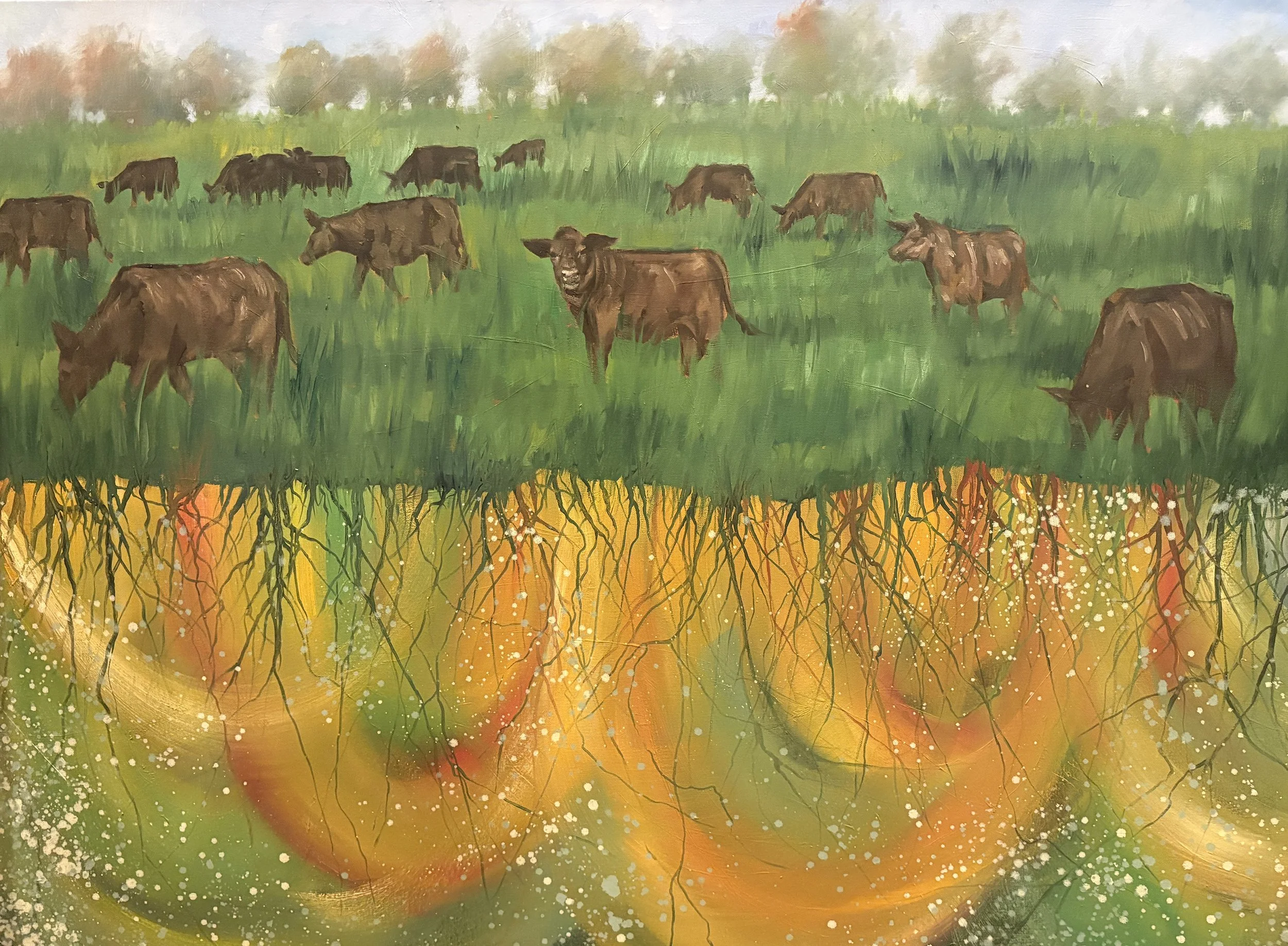 Cattle Contributions, 30X40