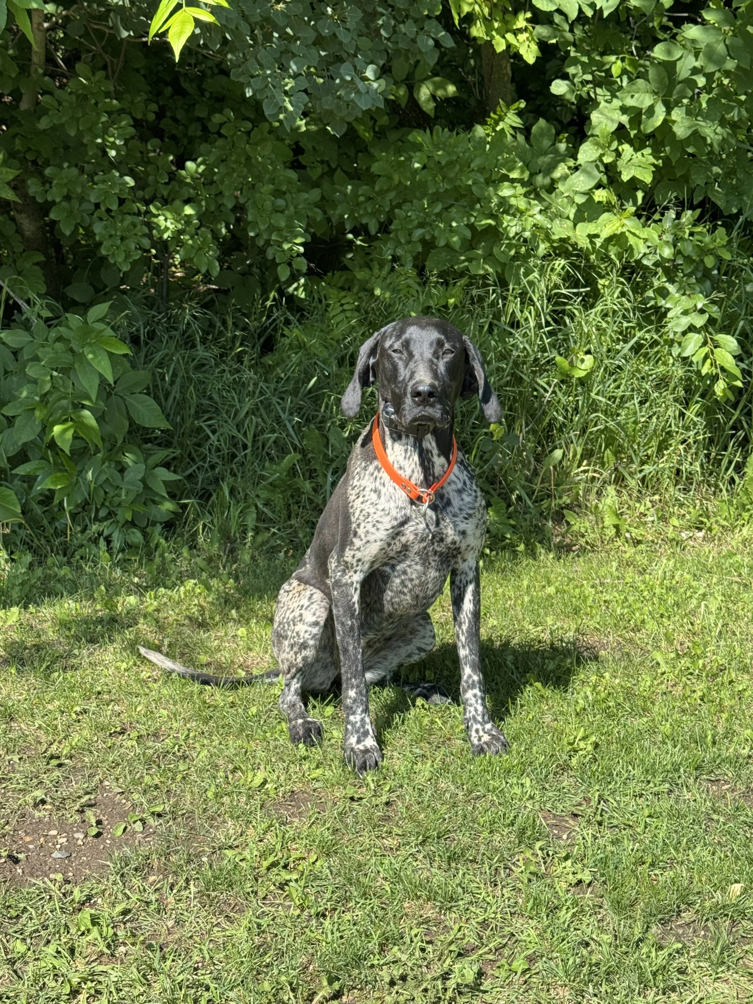 IMG_0551.jpeg