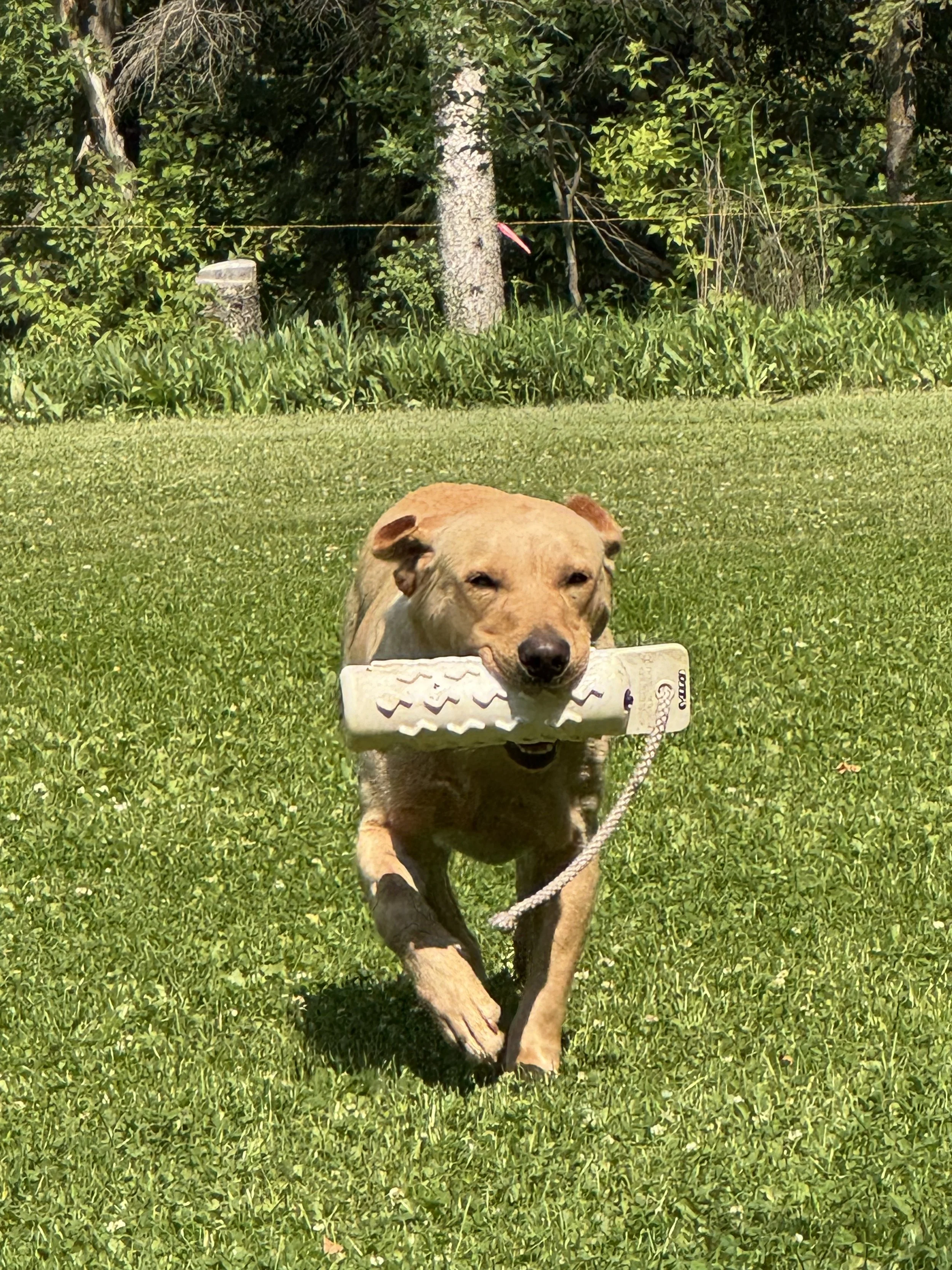 IMG_0941.jpeg