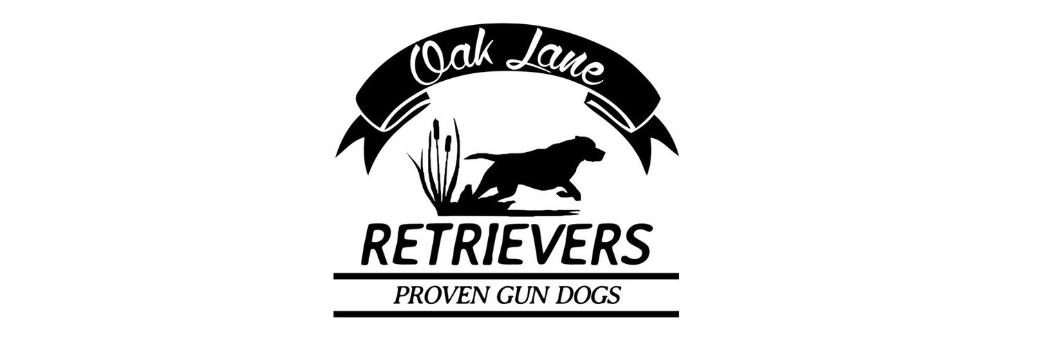 Oak Lane Retrievers